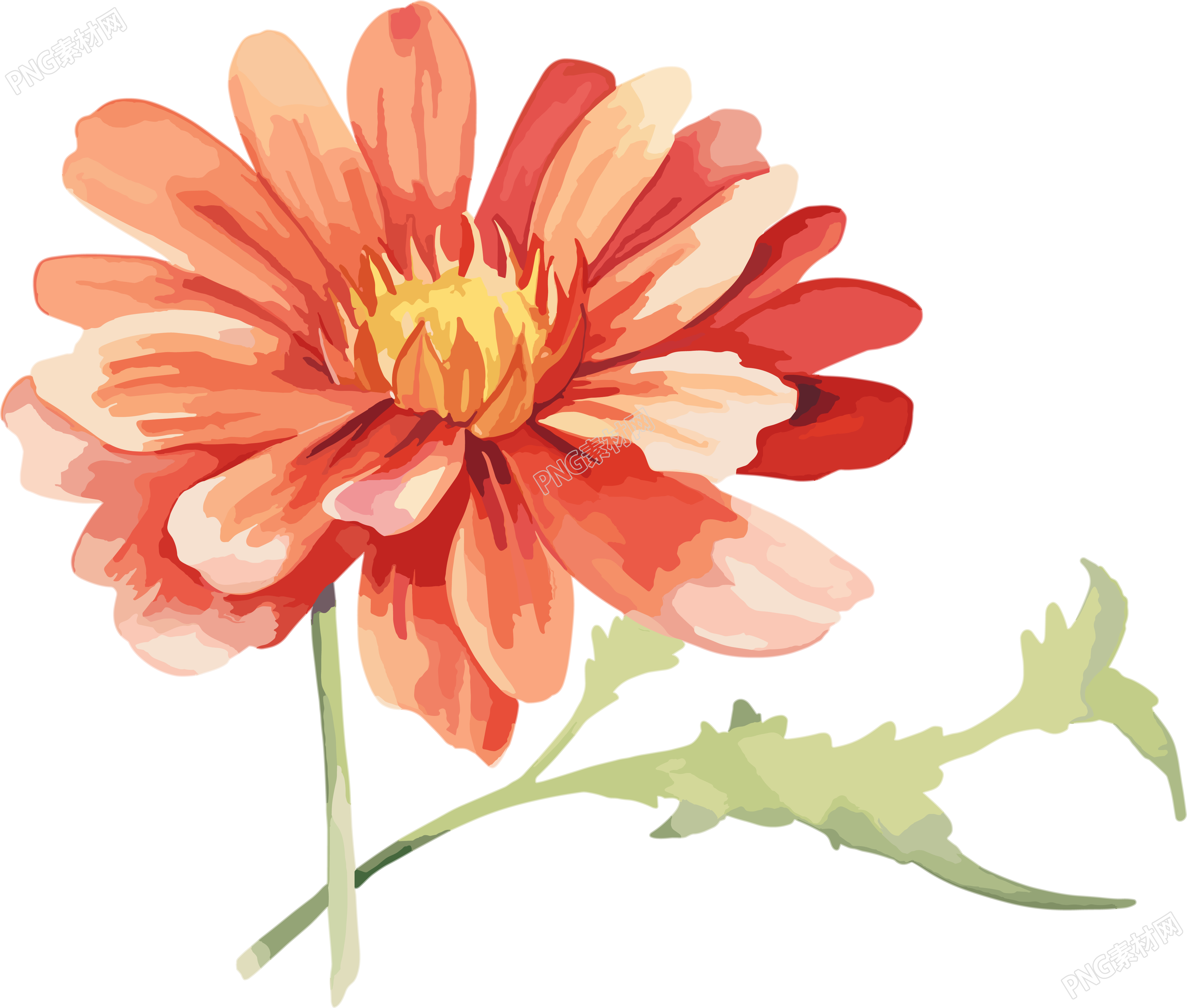 水彩花卉可商用创意设计插画