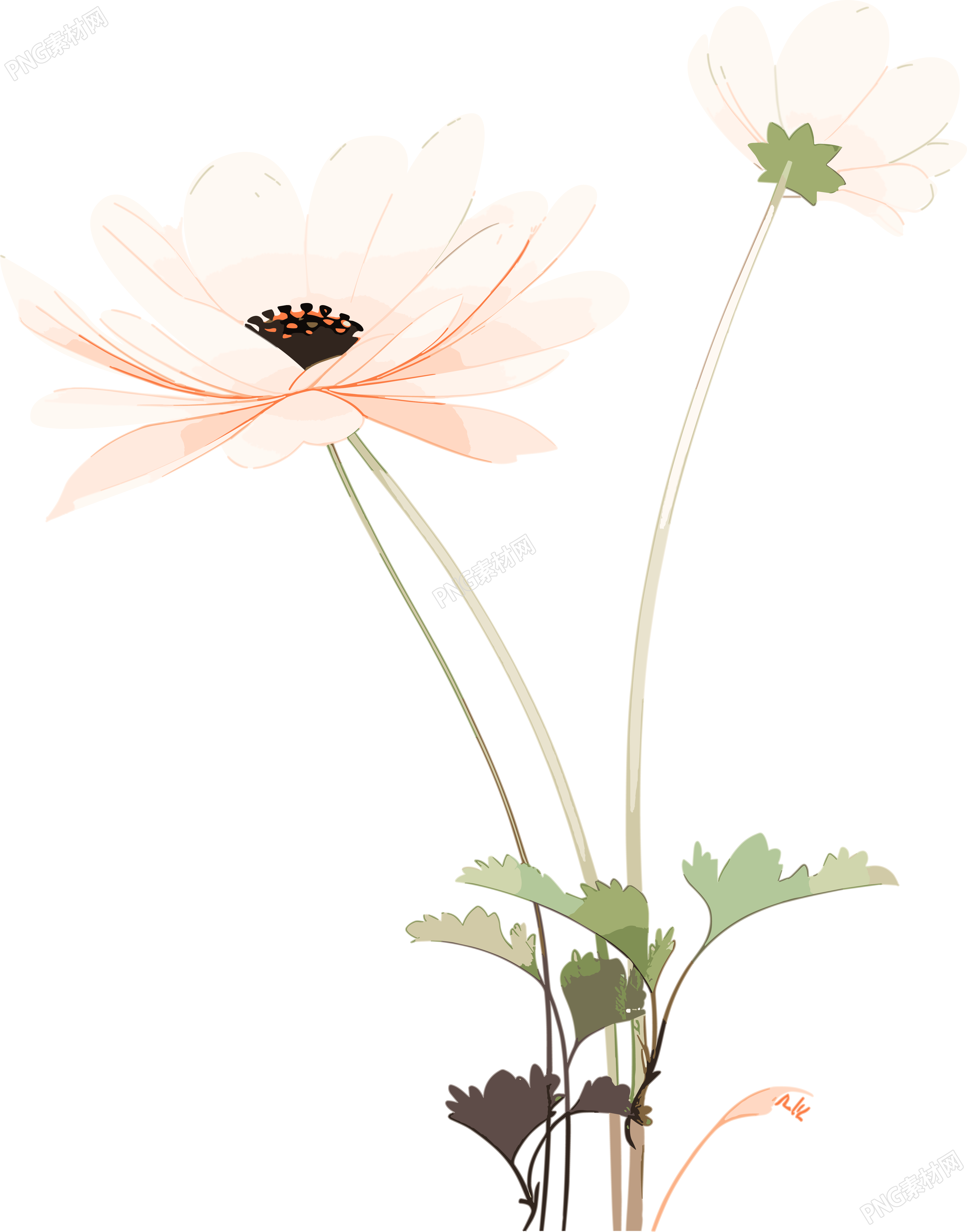 线条花朵柔和插图