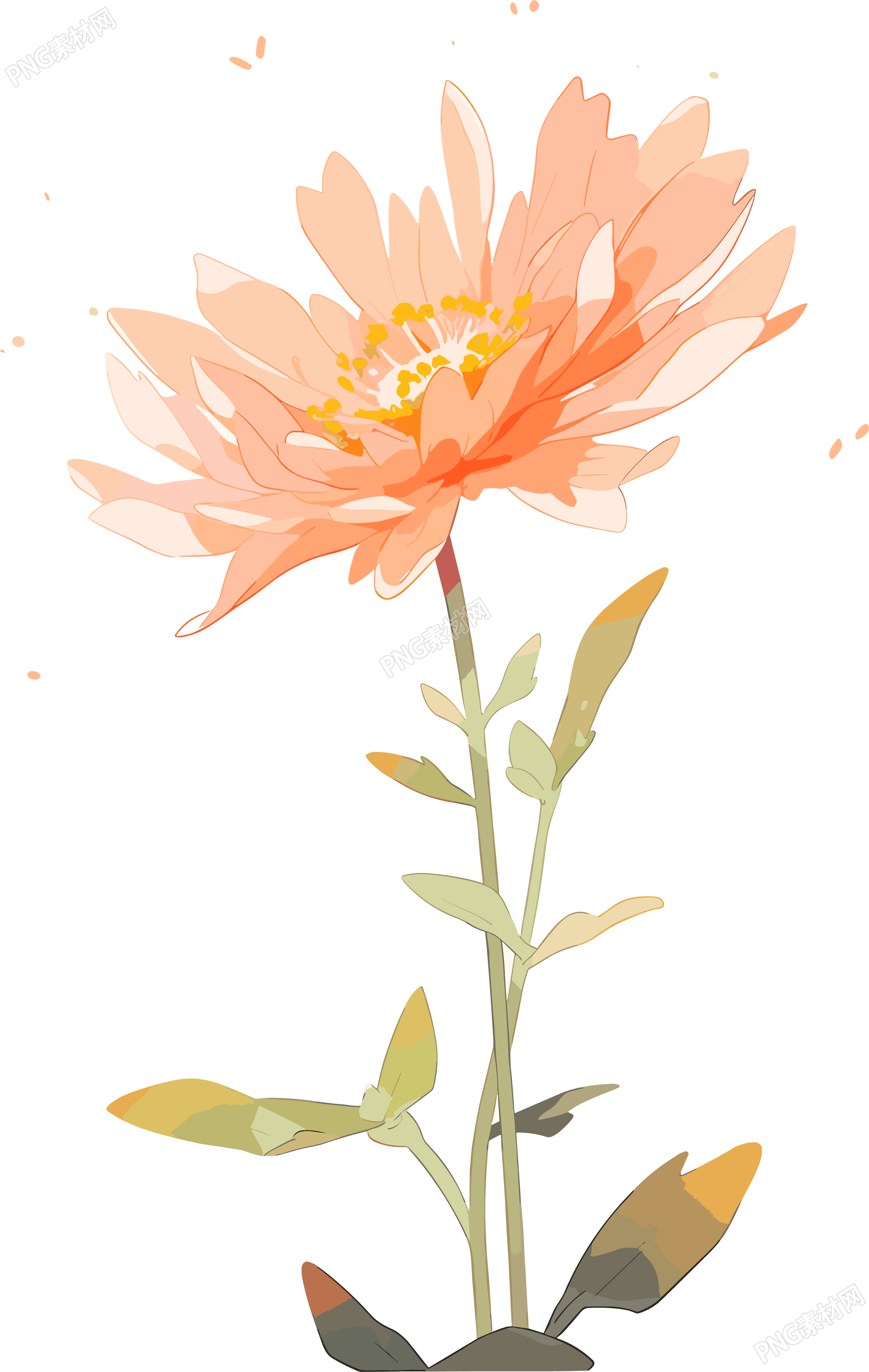 线条花朵图形素材