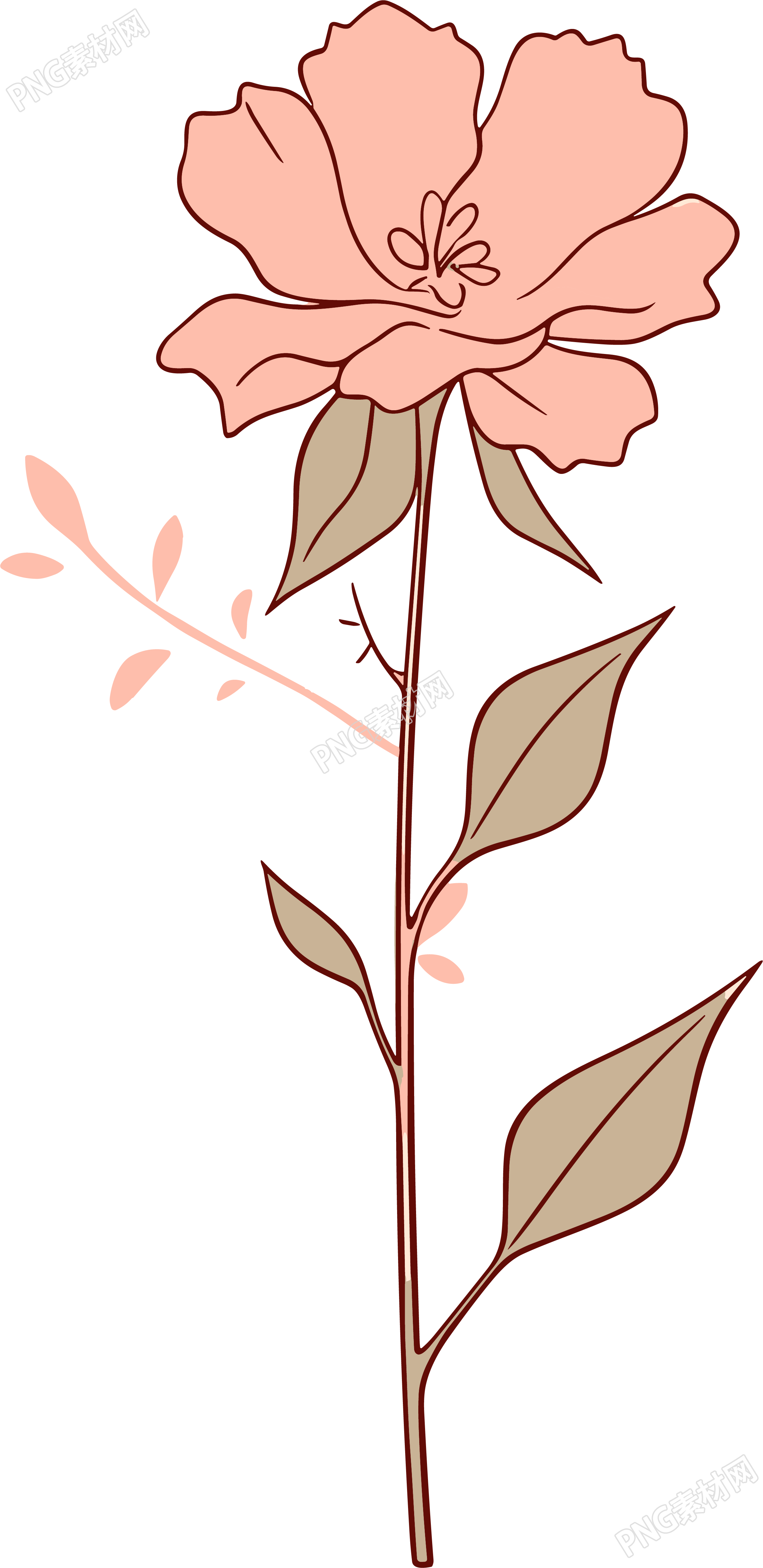 线条花朵透明背景PNG元素