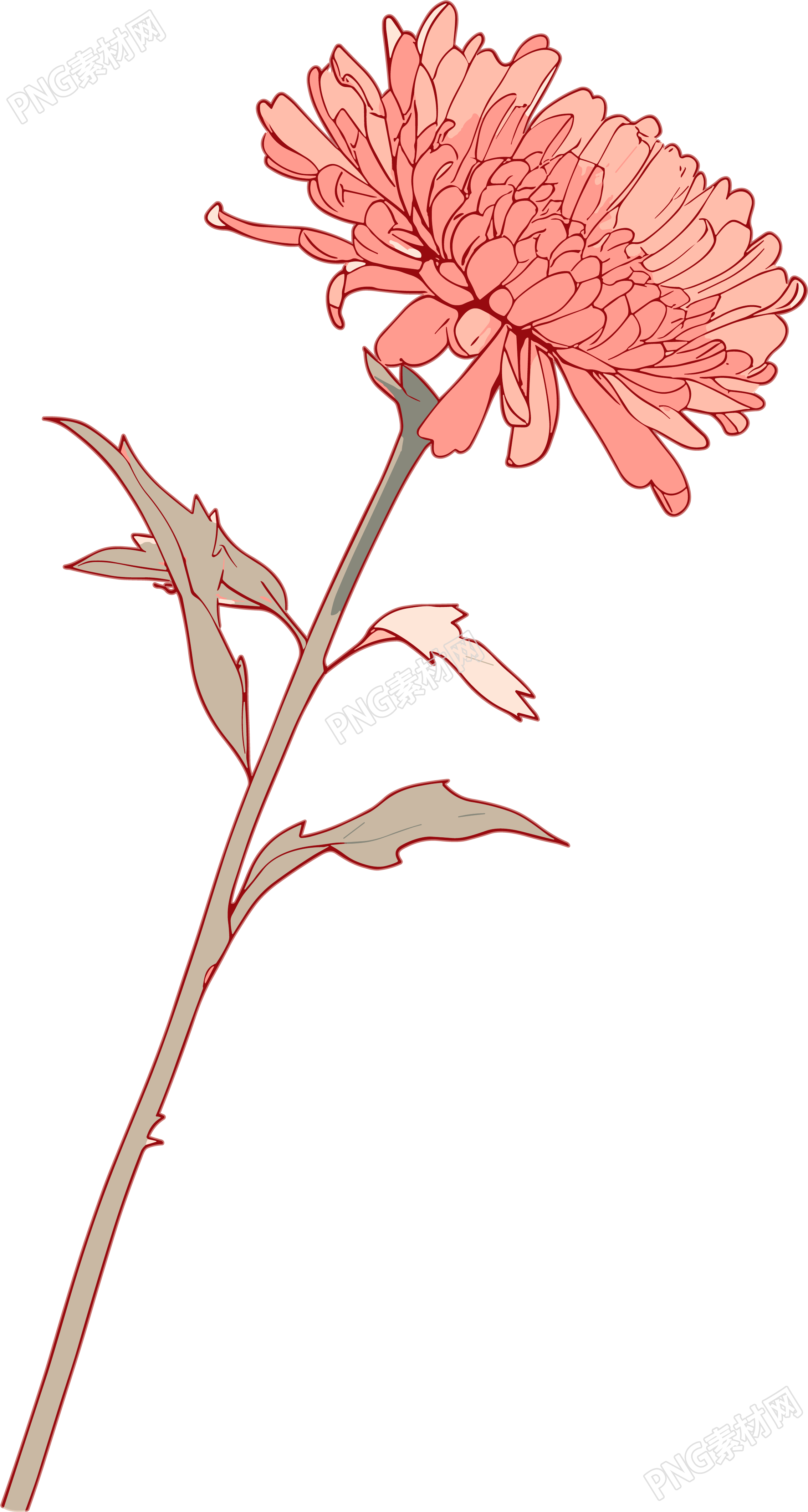 线条花朵高清素材