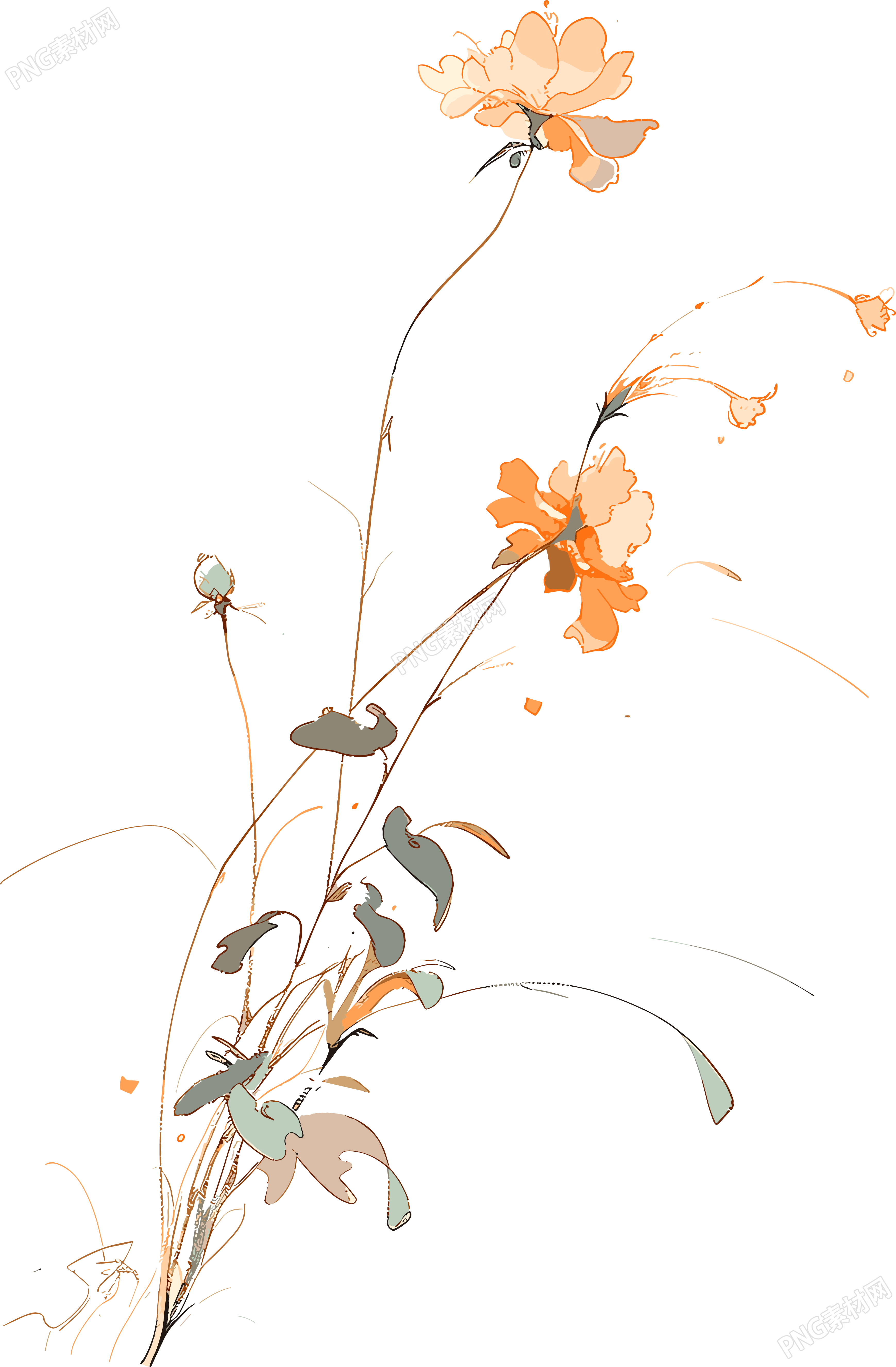 线条花朵透明背景素材