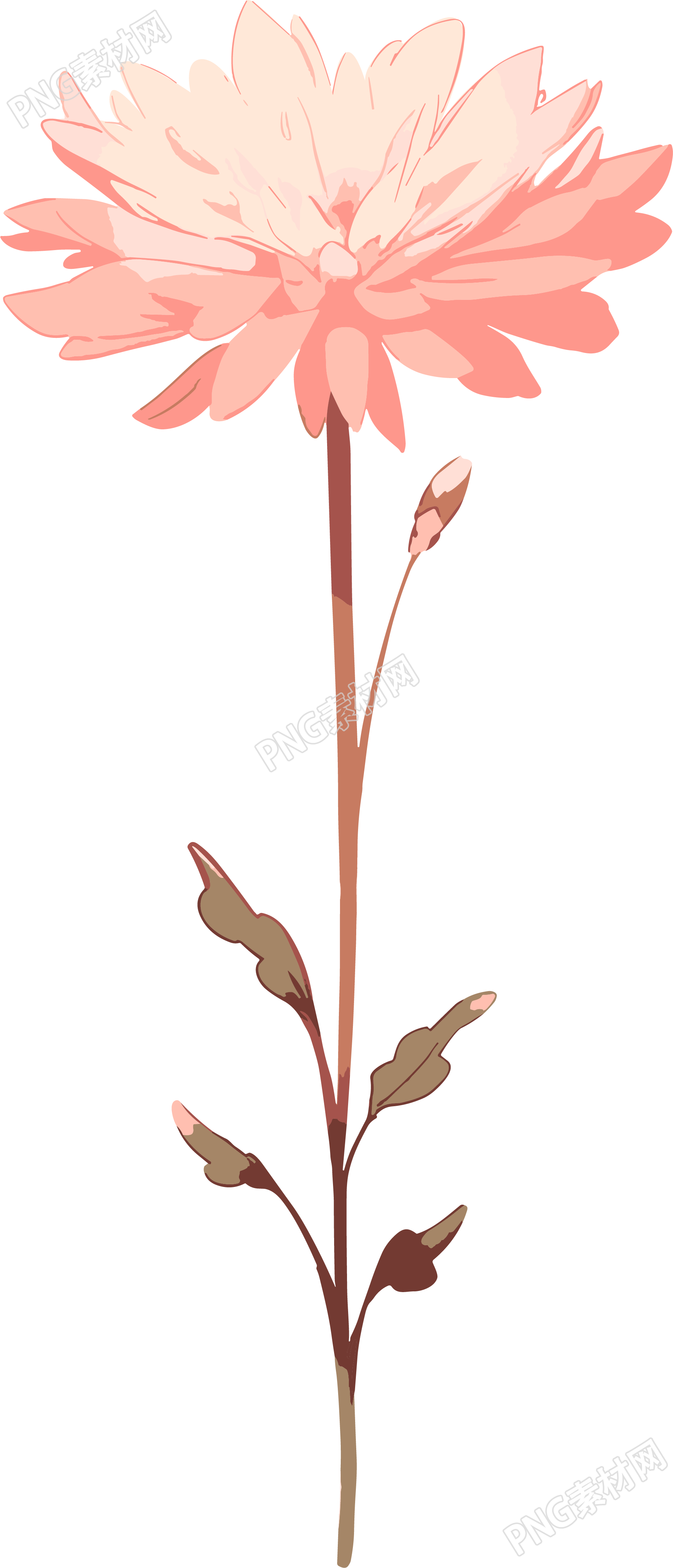 线条花朵商业设计元素