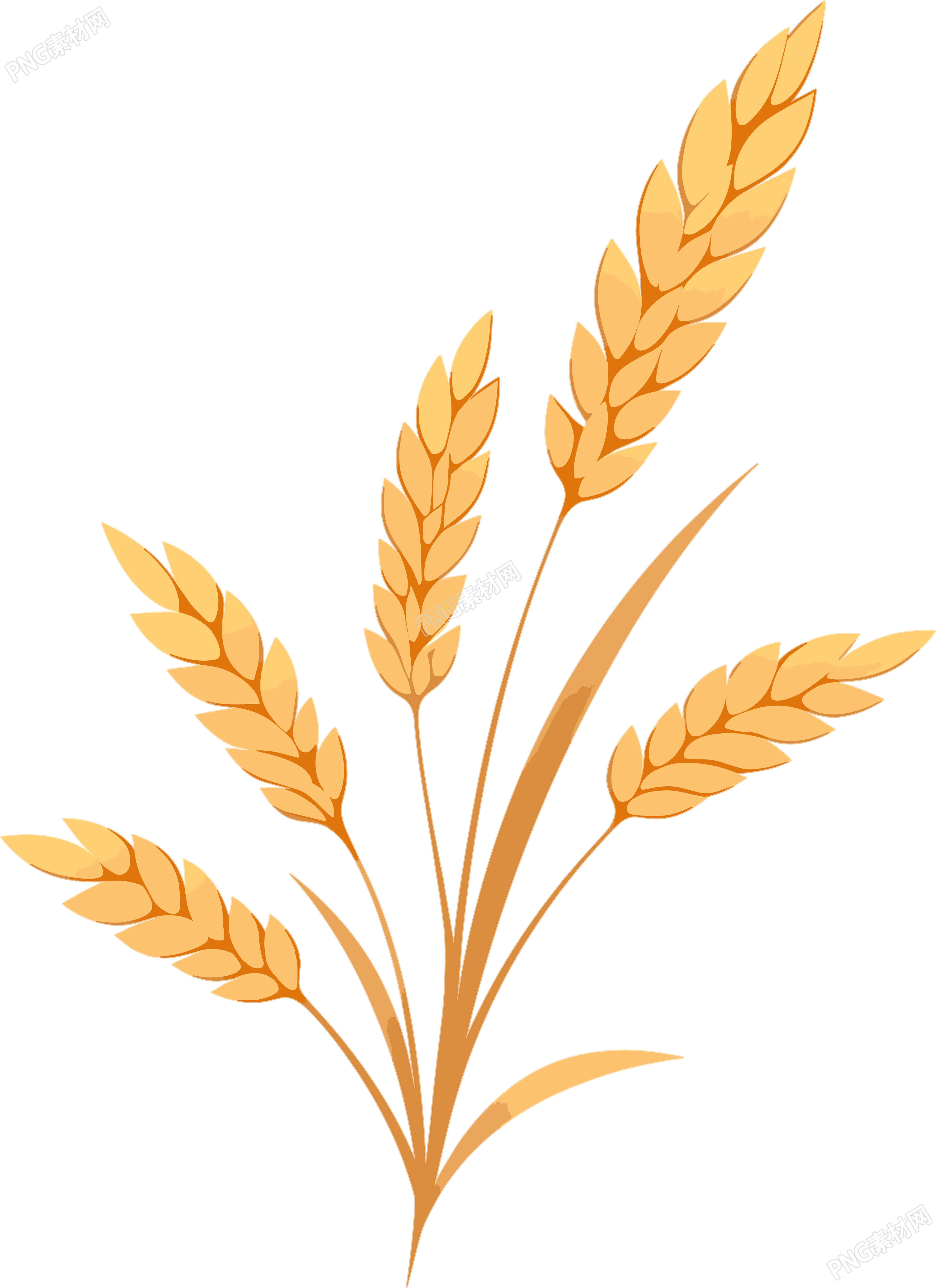 小麦简约插画素材