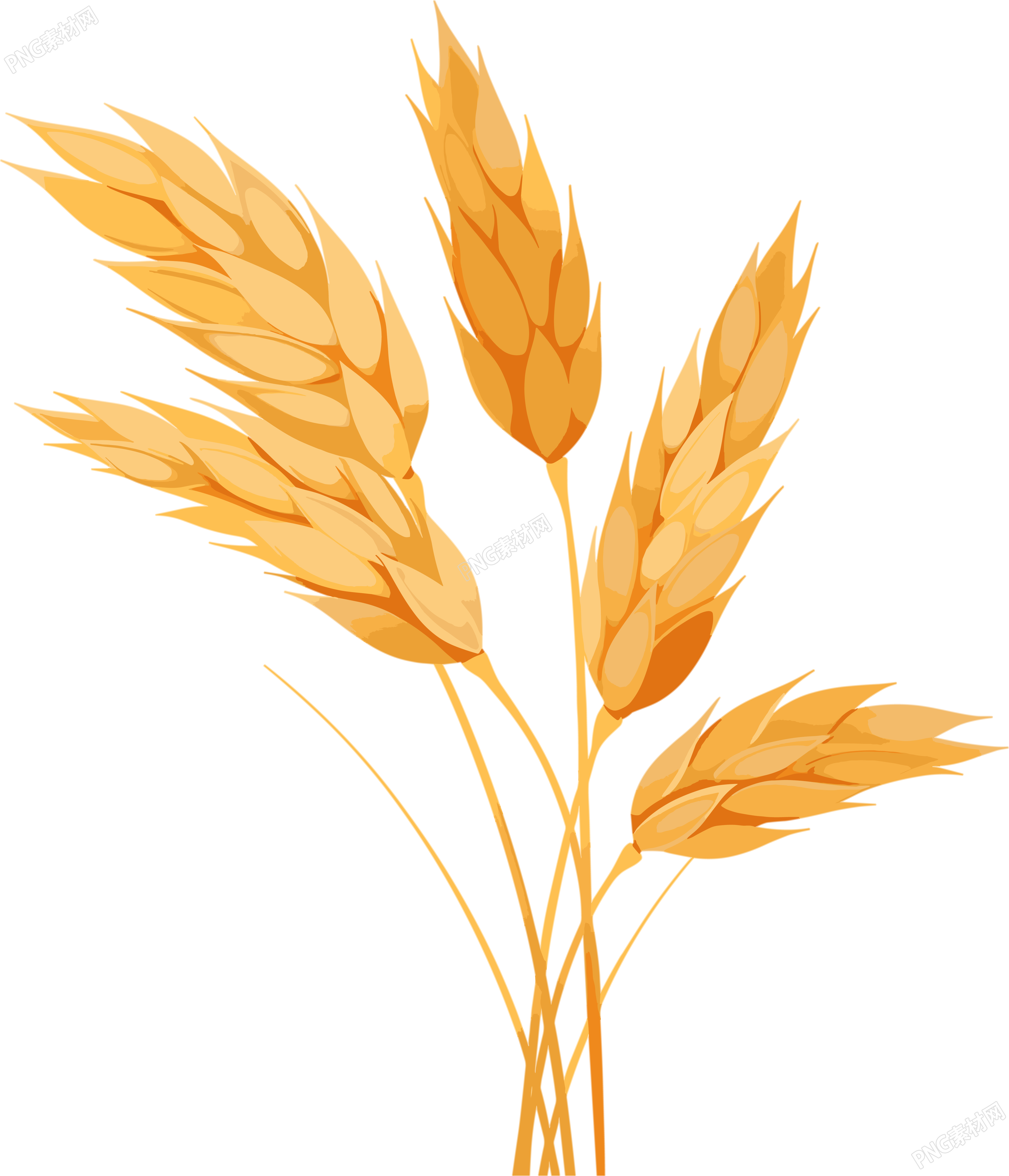 小麦商用设计元素