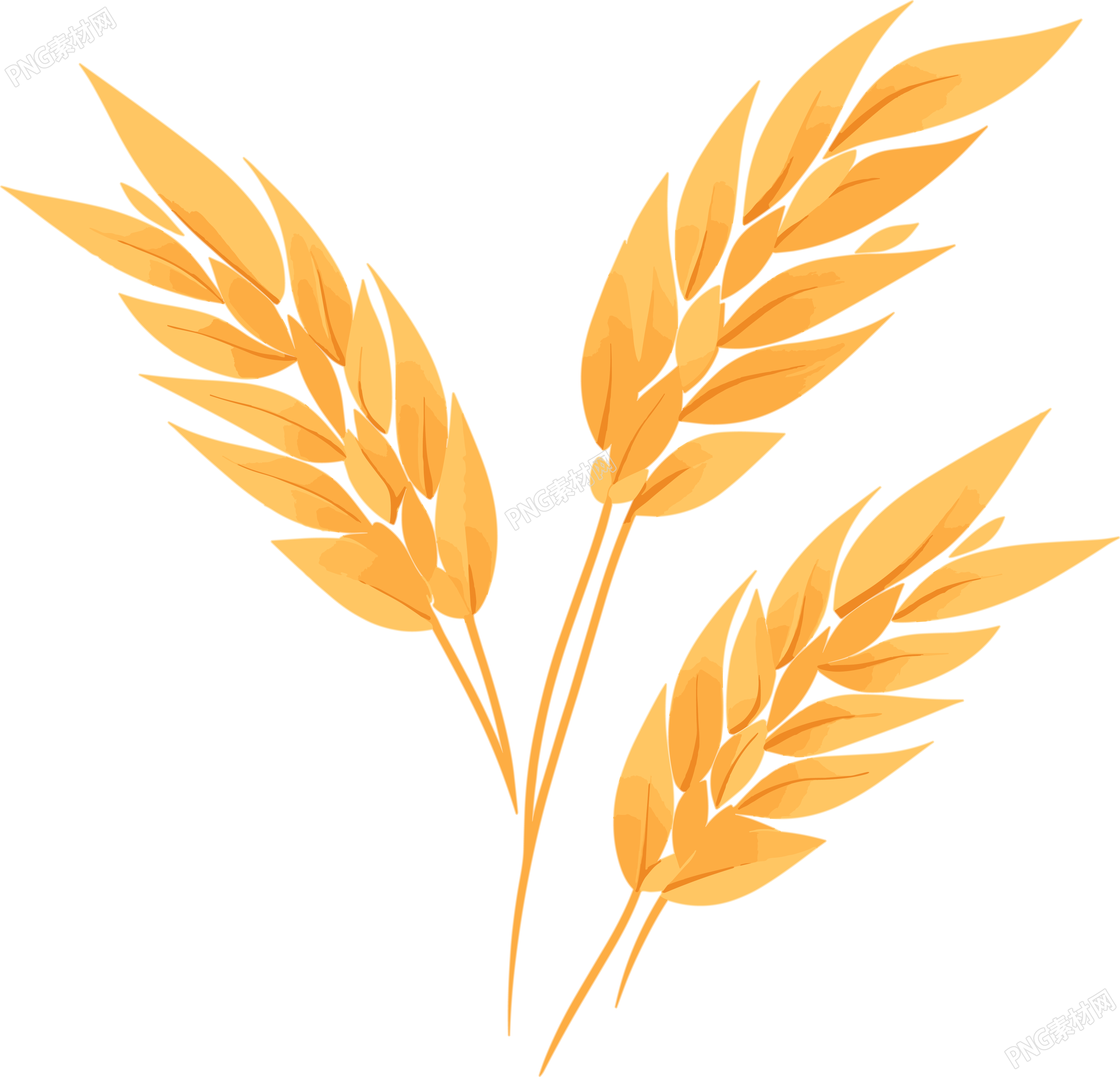 小麦PNG图形素材