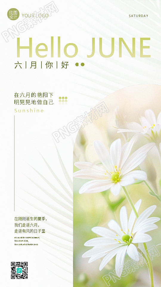 六月你好小雏菊极简风手机海报