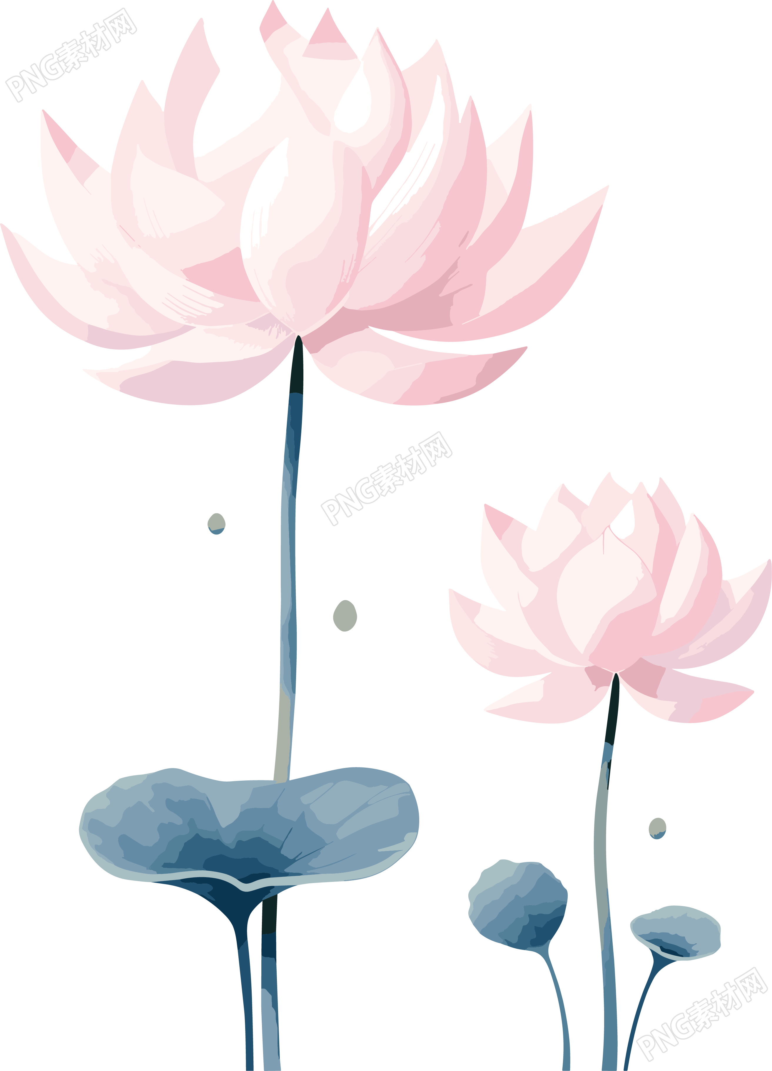 莲花商业创意插画