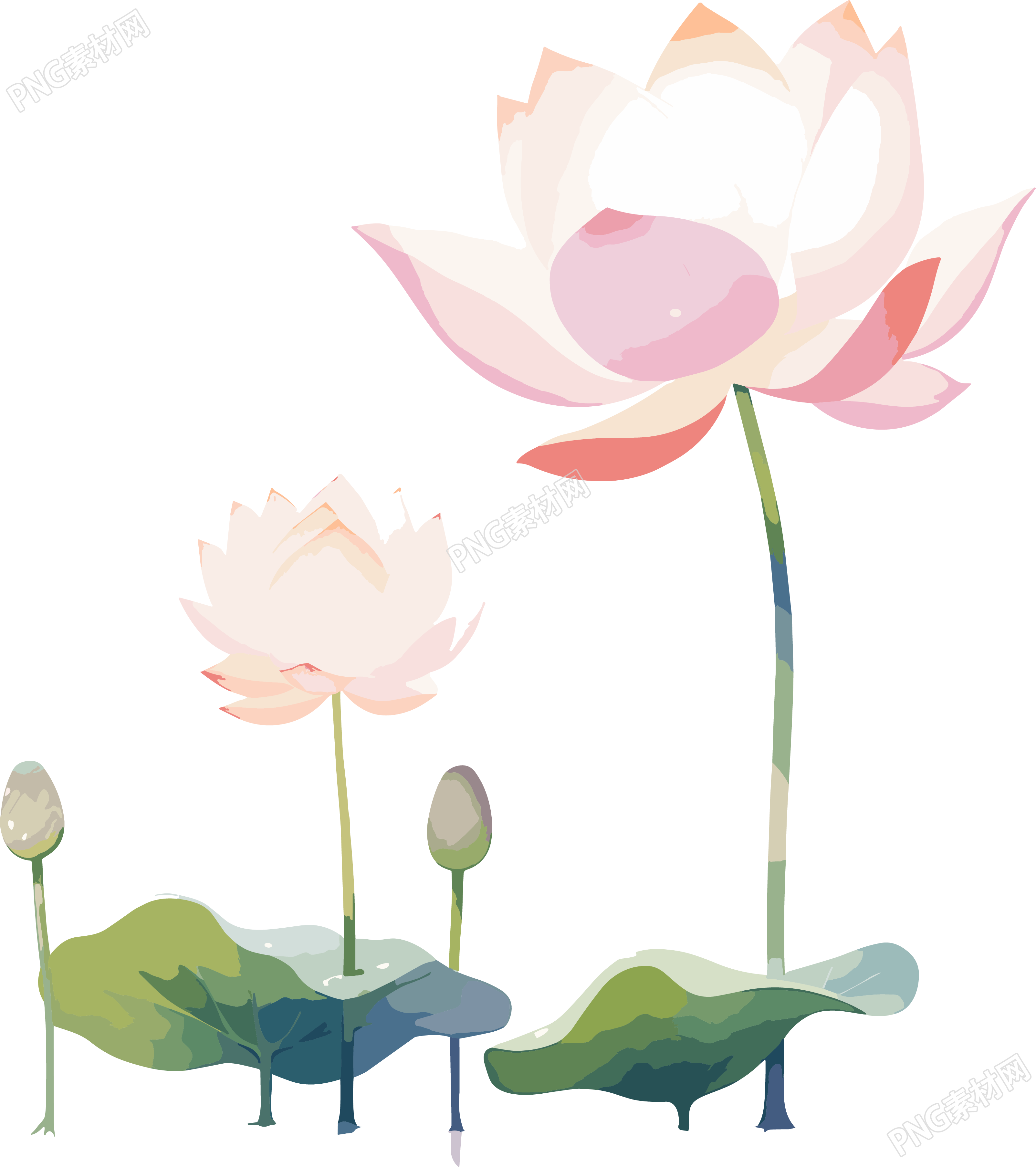 莲花简约儿童插画素材