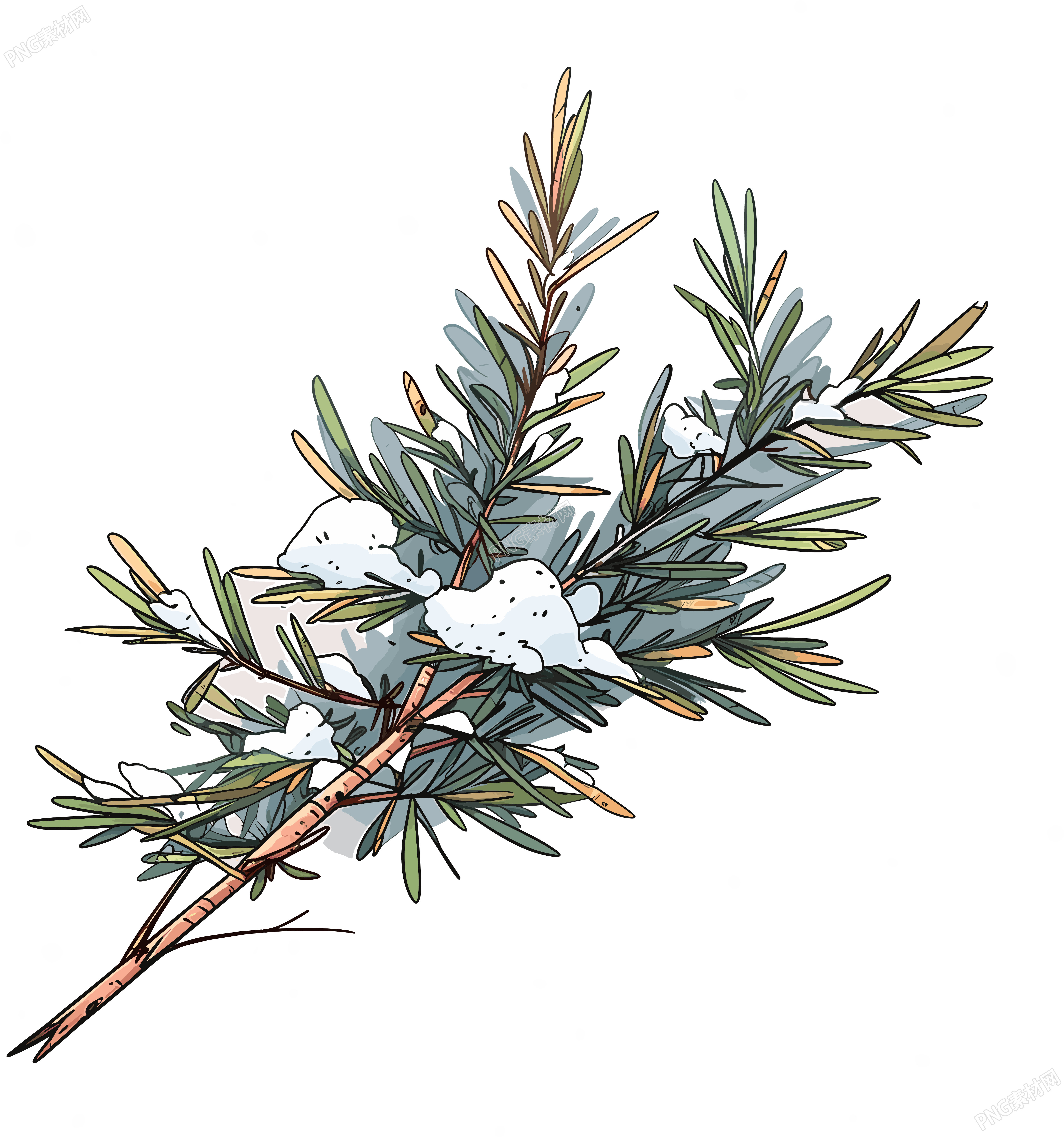 松枝积雪商业设计元素