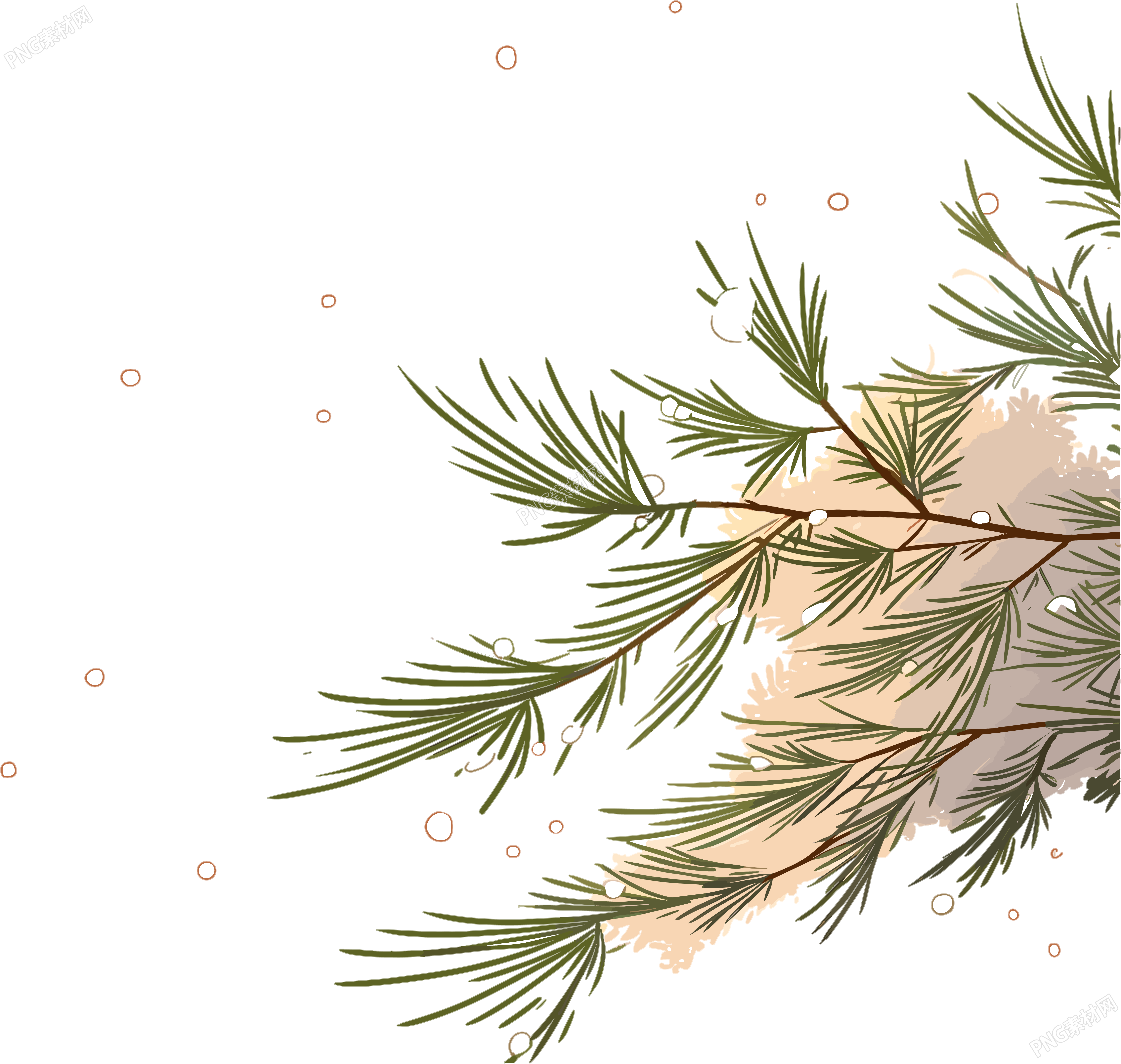 松枝积雪透明背景插图