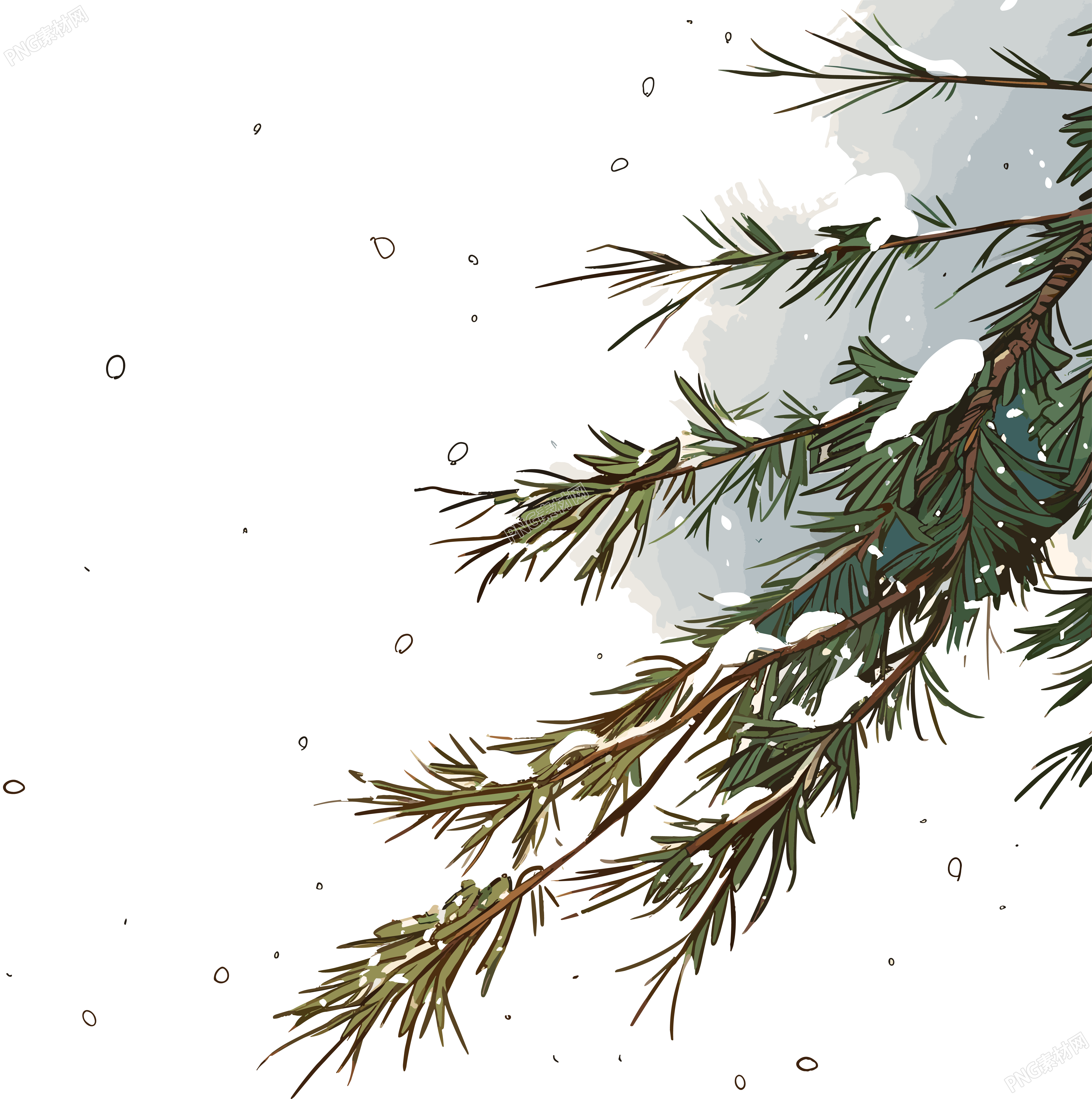 松枝积雪插图