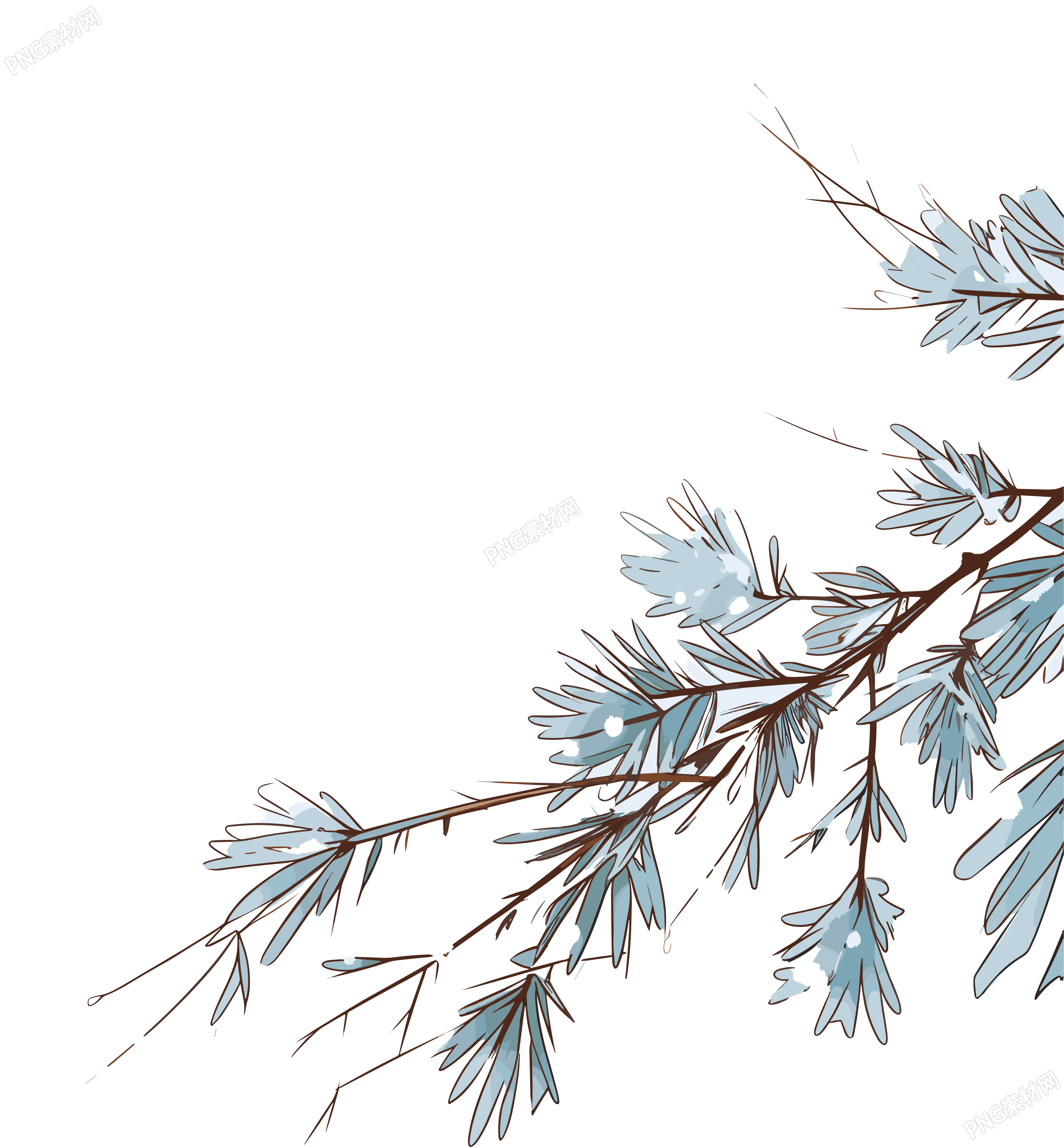 松枝积雪插画