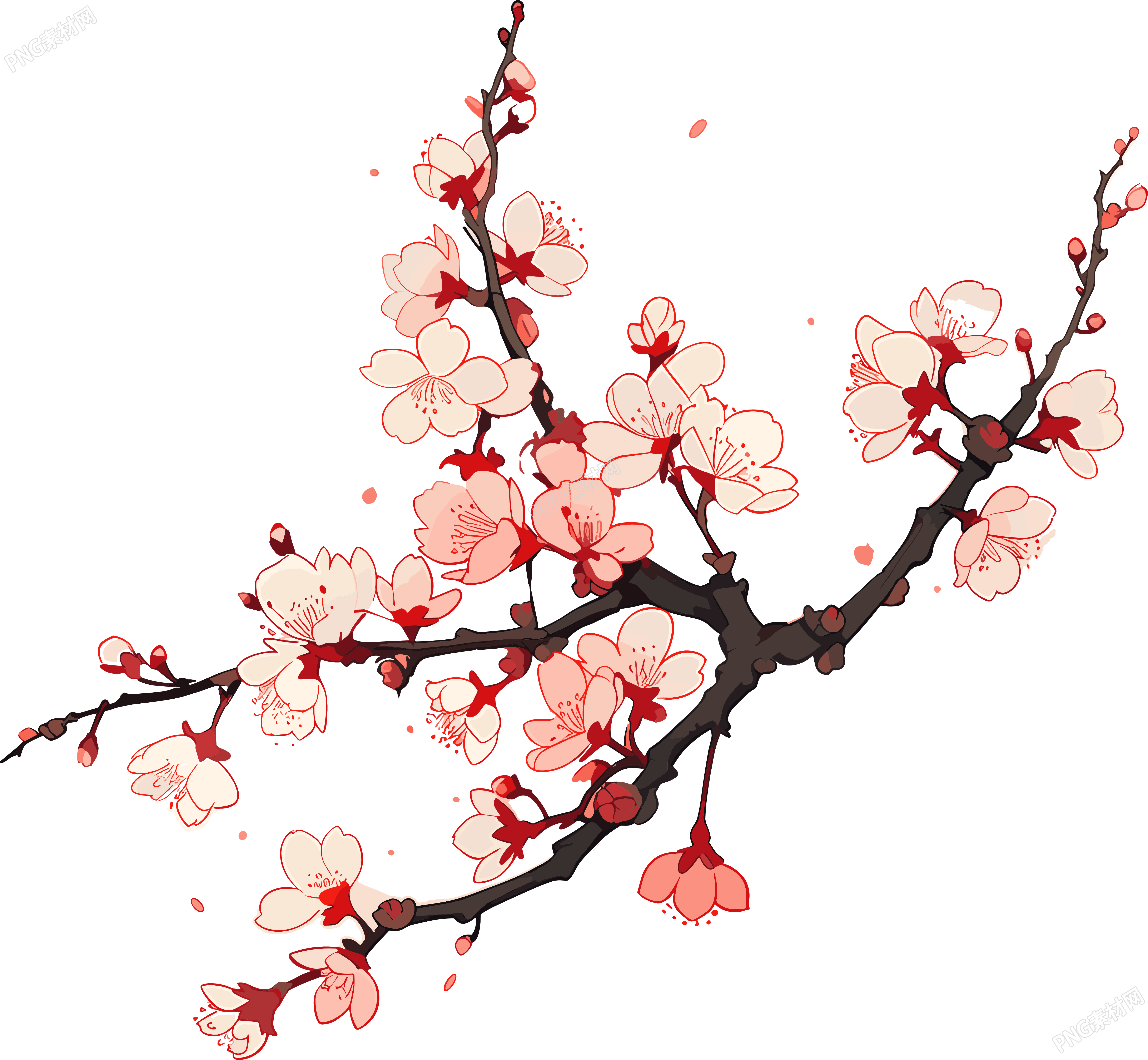 梅花高清透明背景插画