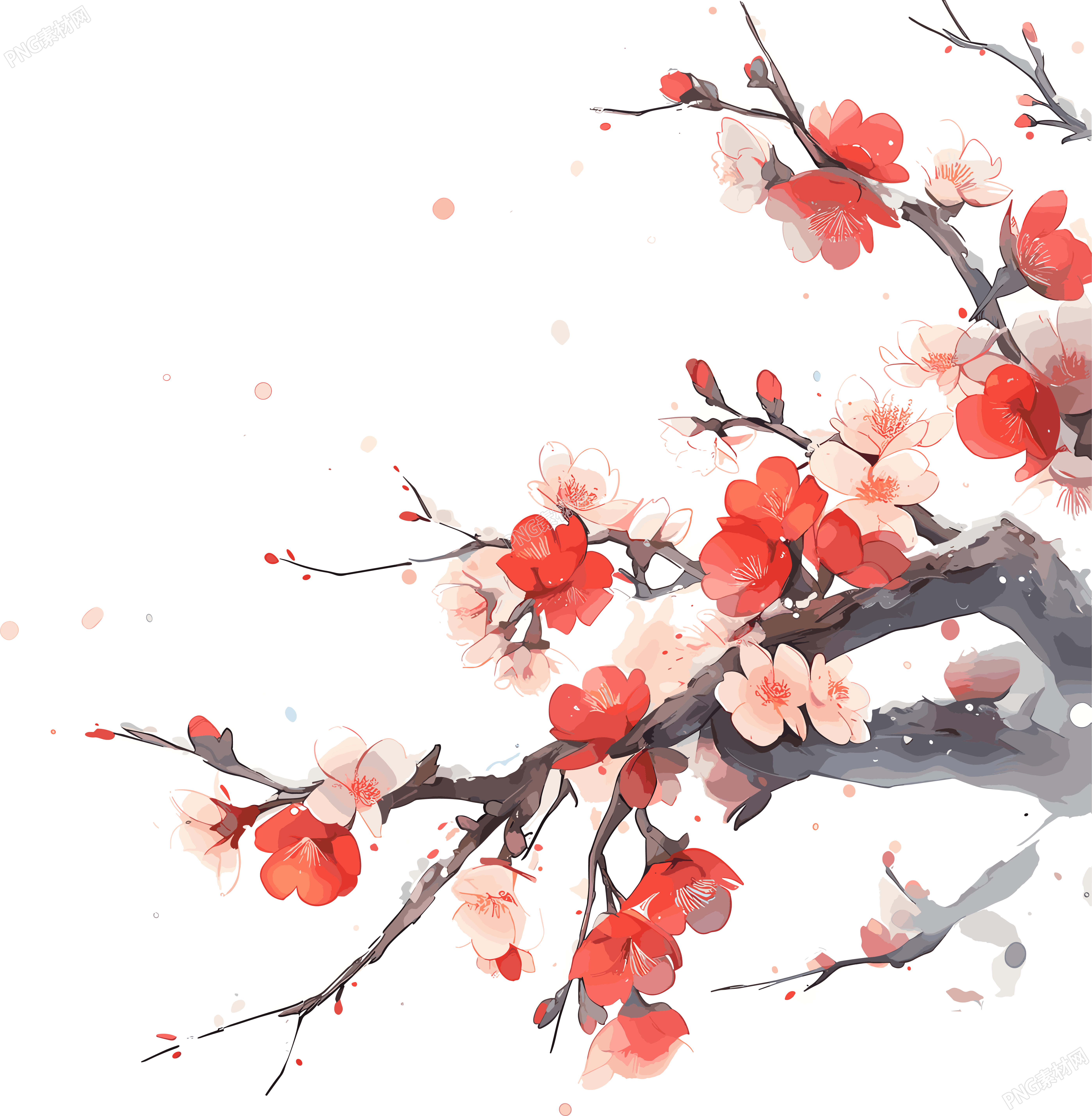 梅花高清图像插图