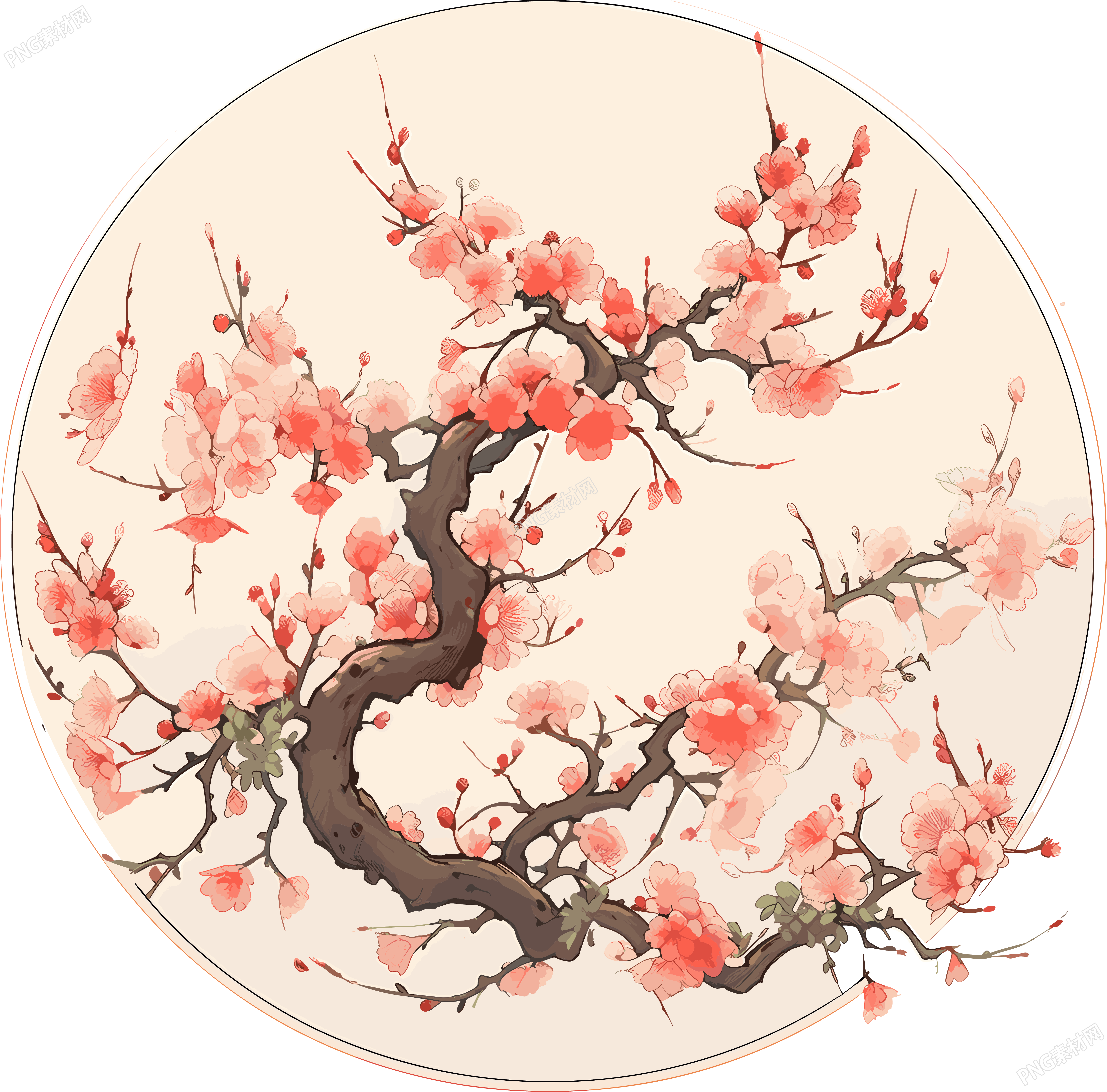 梅花透明背景素材