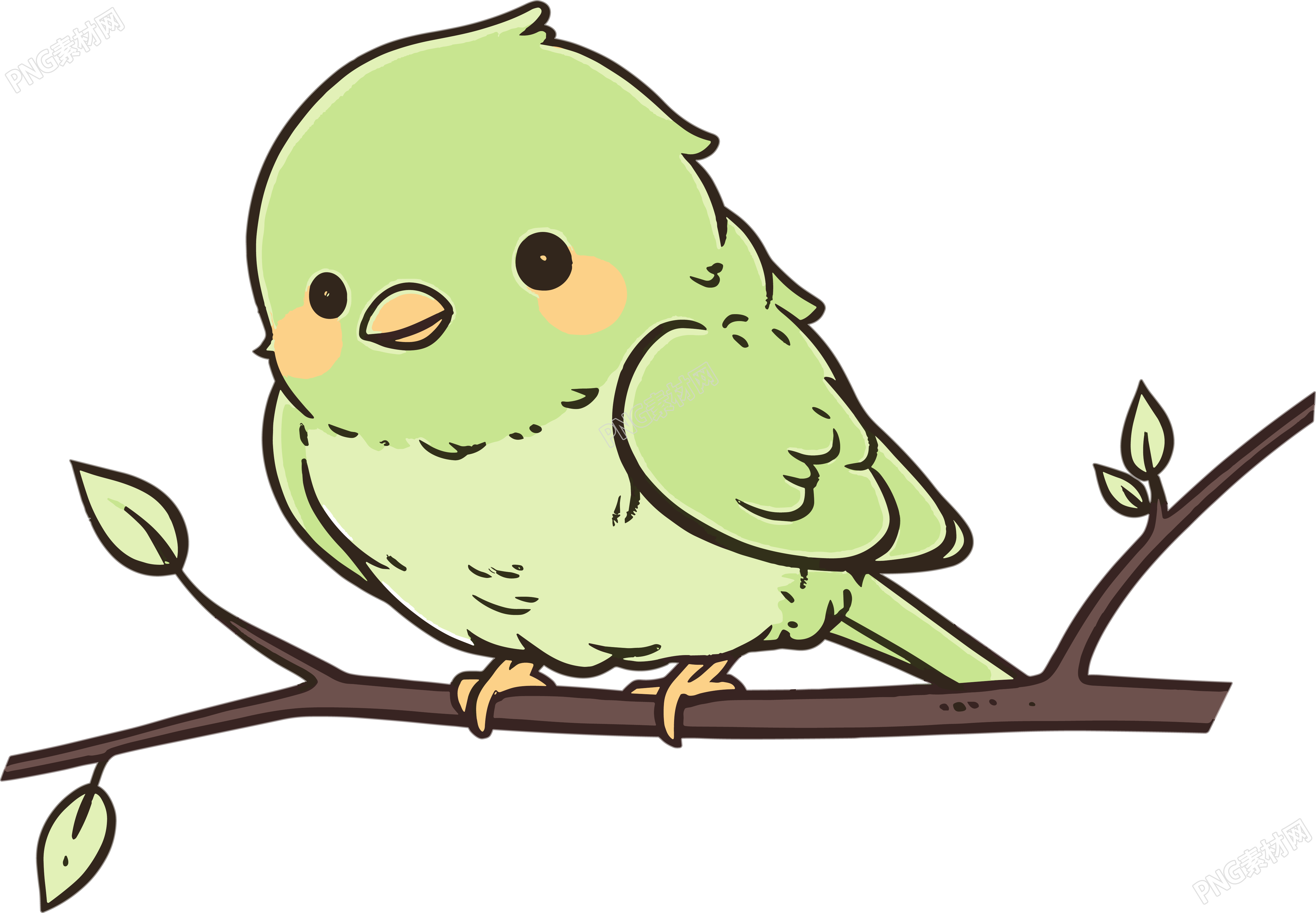 彩色小鸟商用创意插图