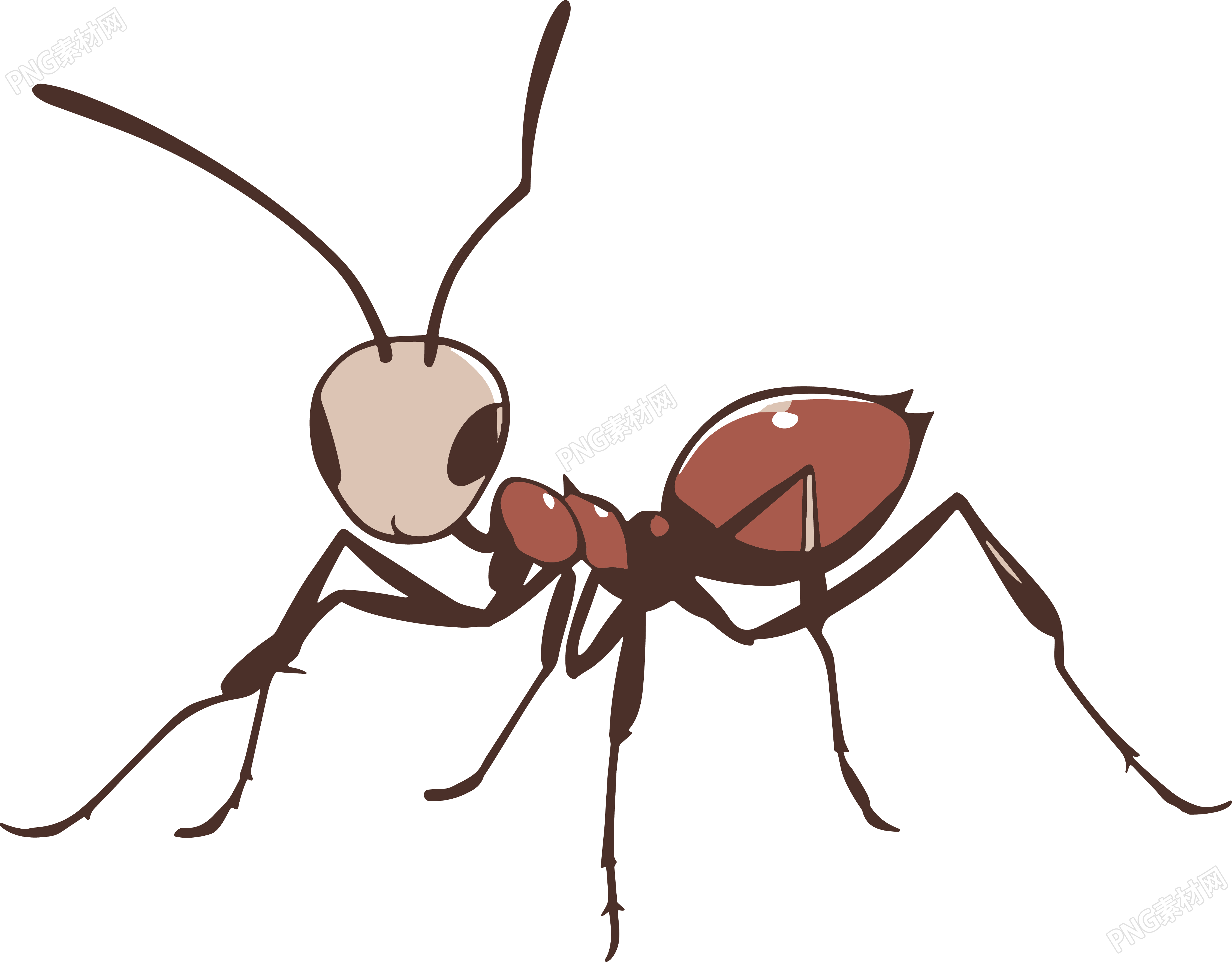 蚂蚁卡通手绘插画PNG素材
