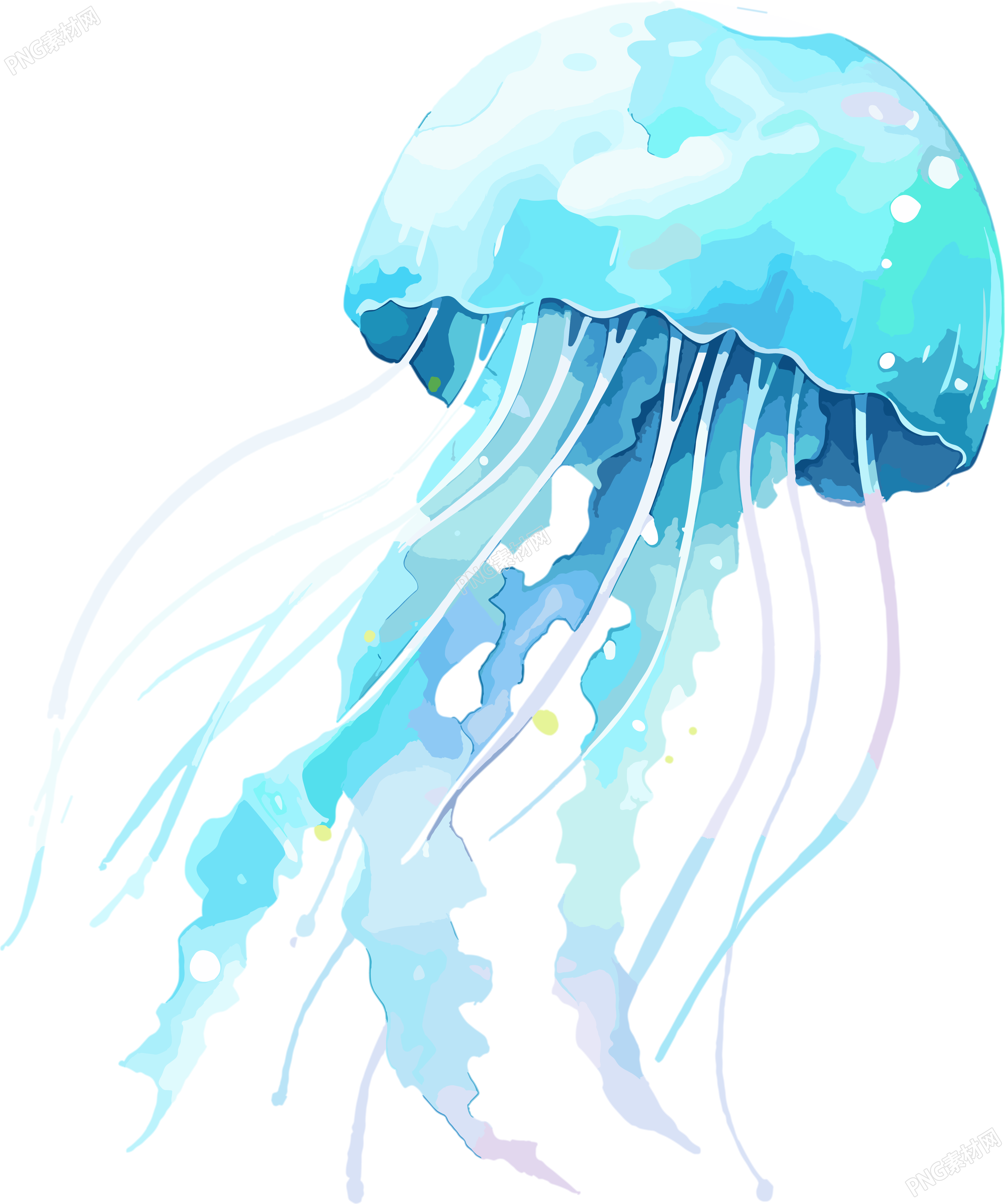 水母水彩插画