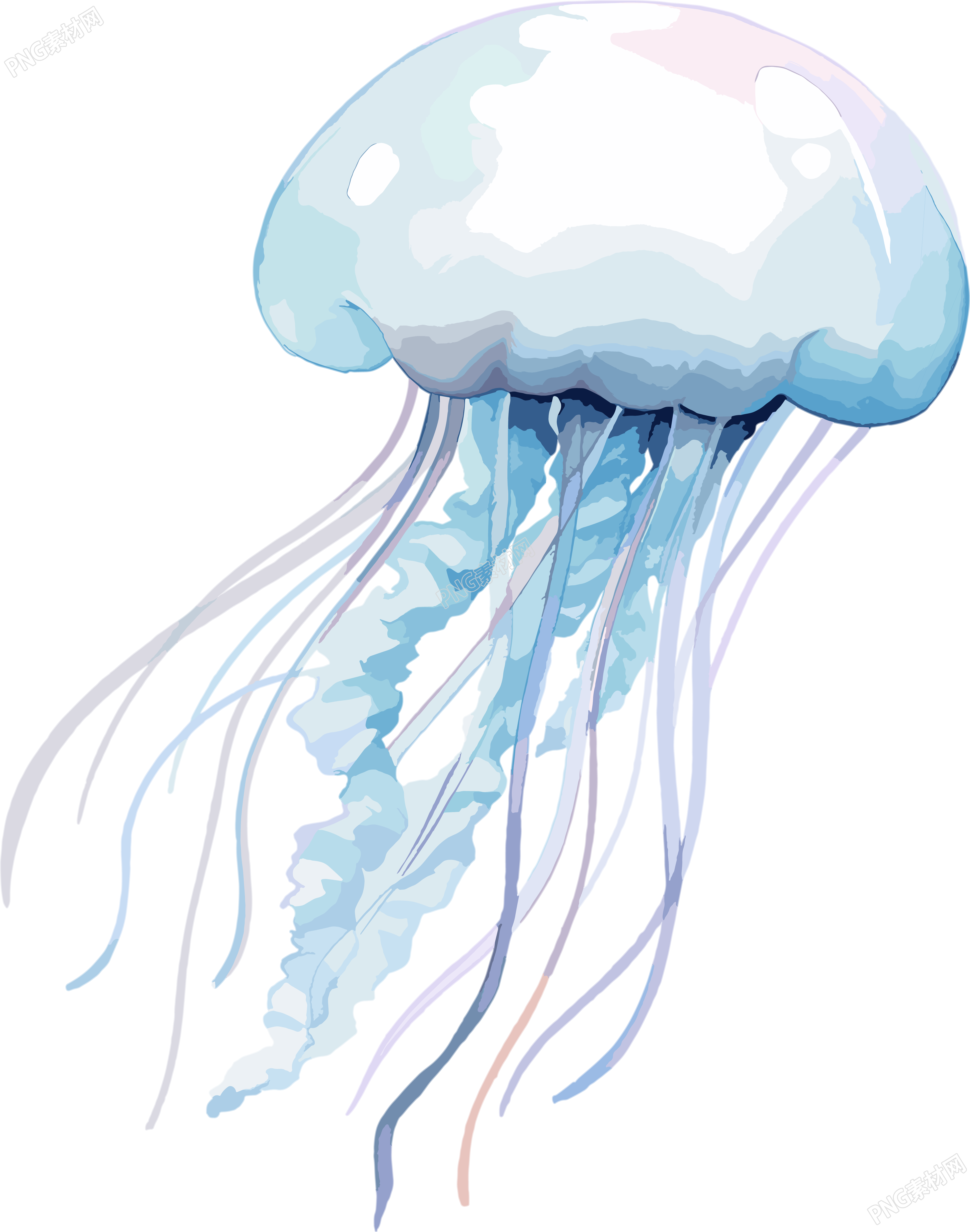 水母高清PNG素材