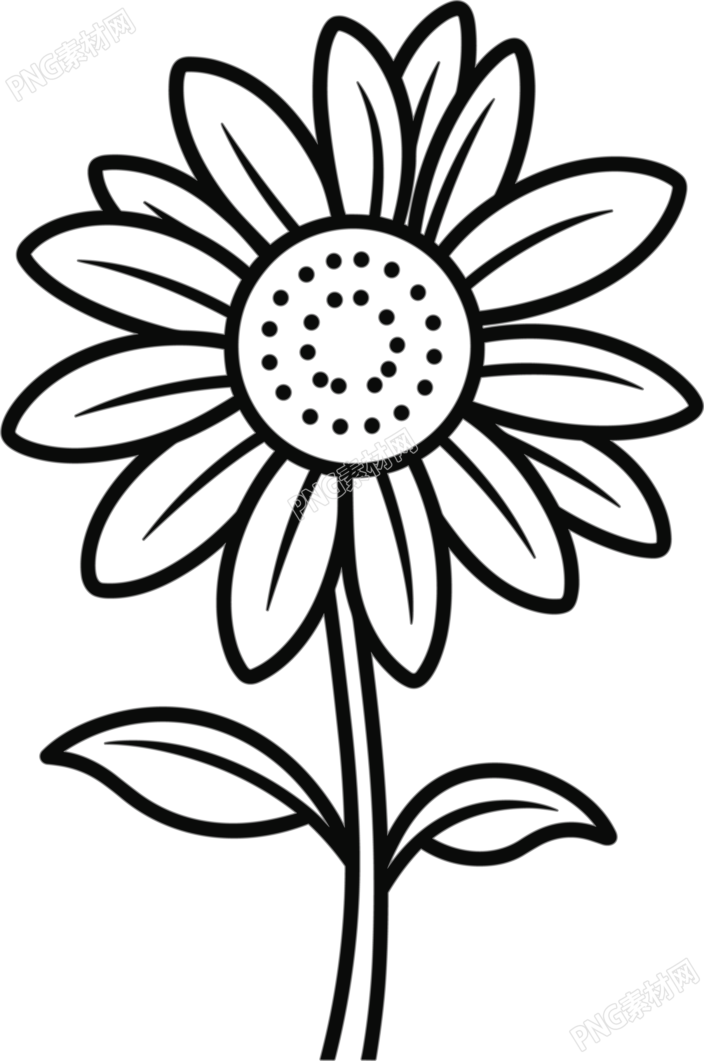 花简笔画图片大全