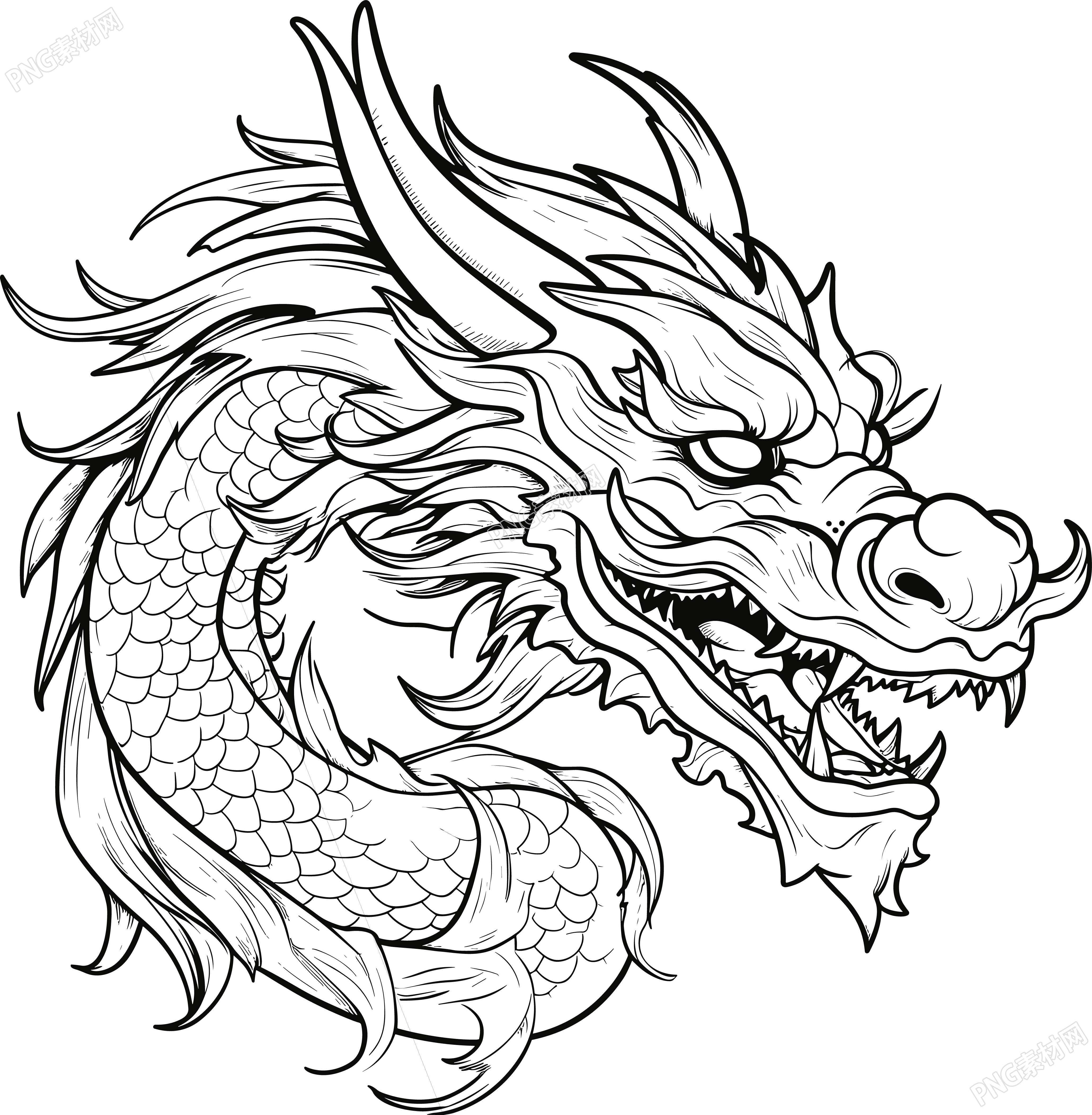 简笔画龙