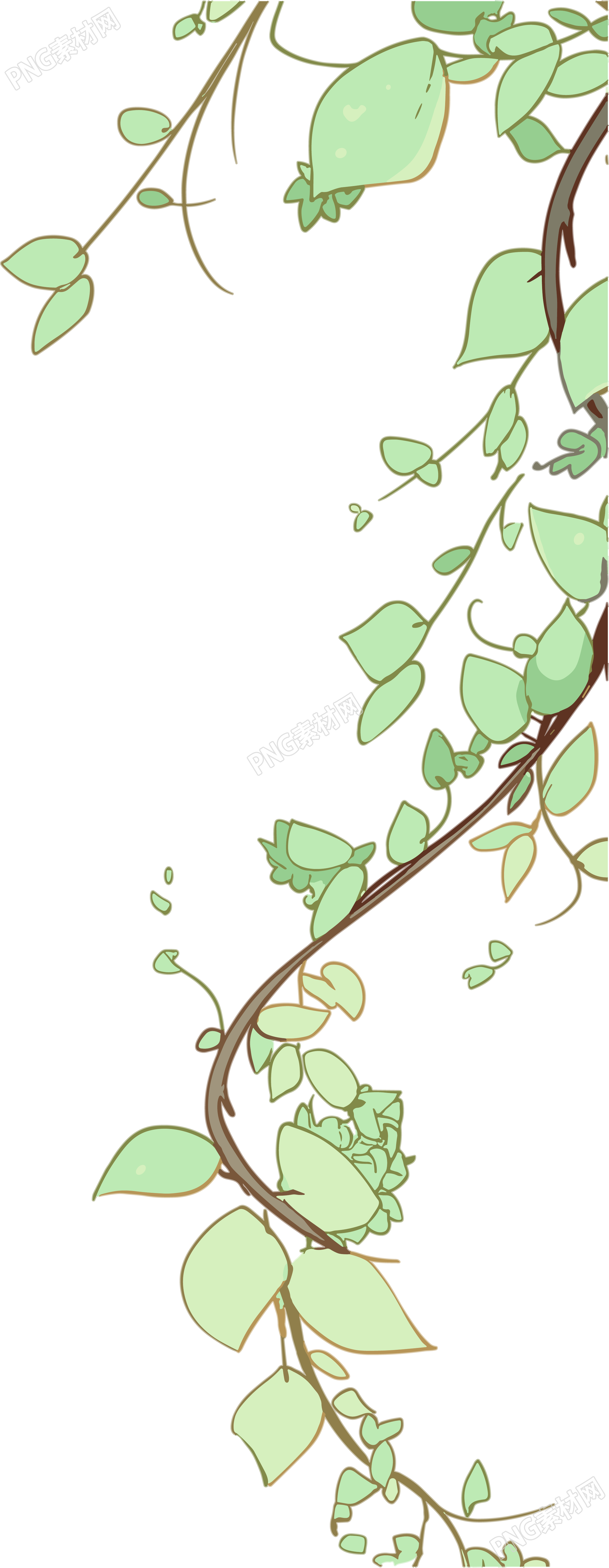 藤蔓边框插画设计素材