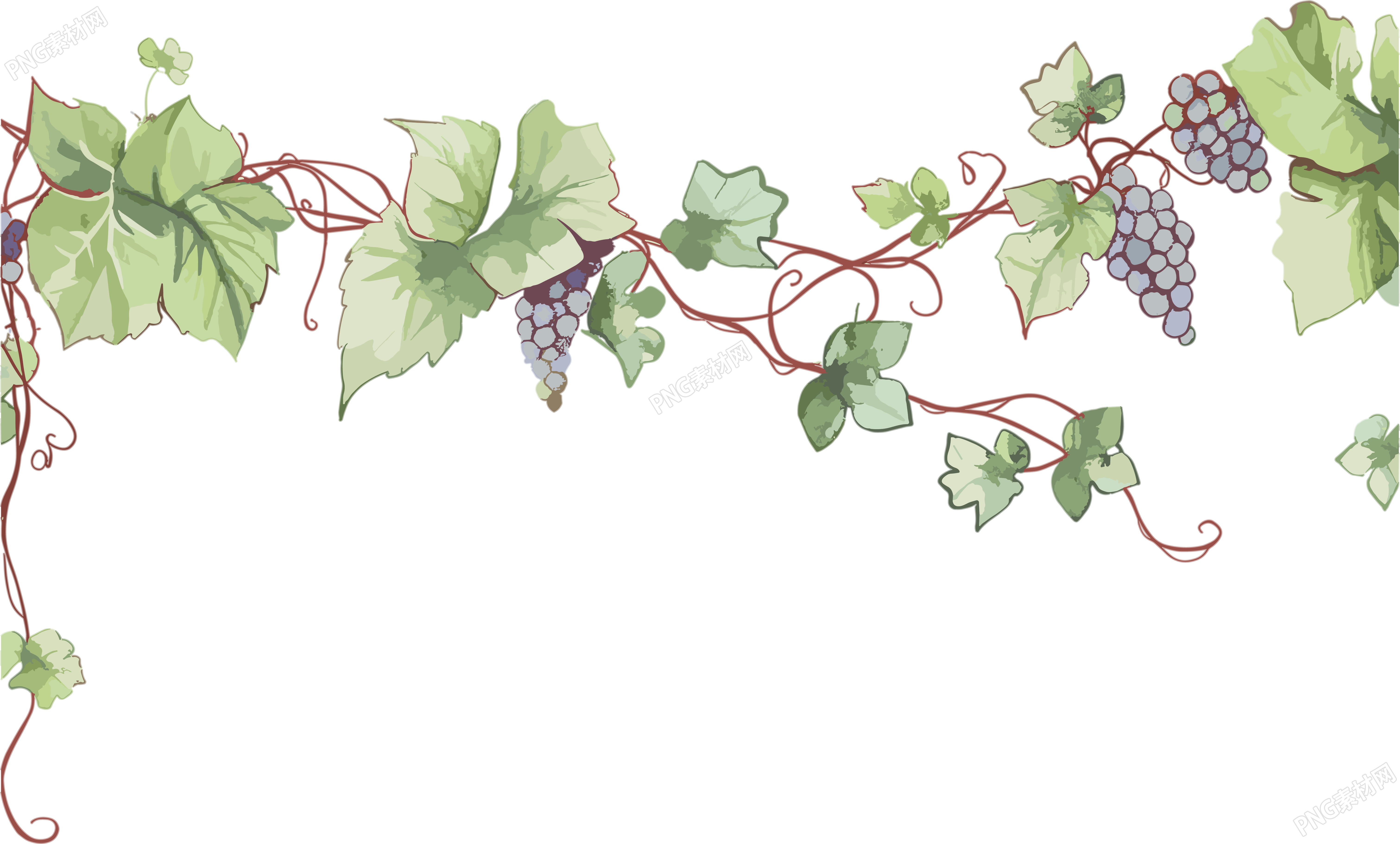 藤蔓边框手绘插画风格素材