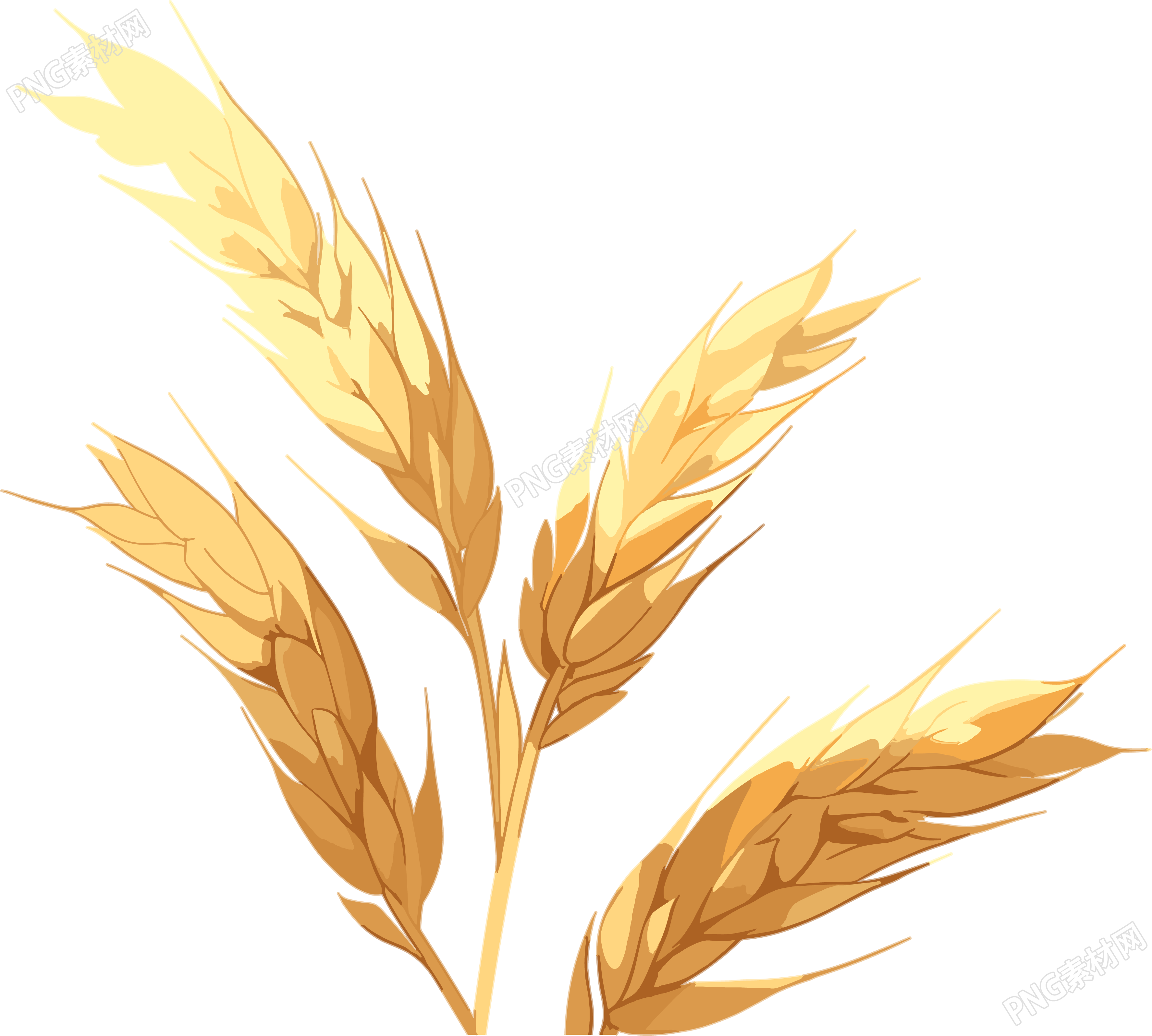 麥穗簡單設(shè)計插畫