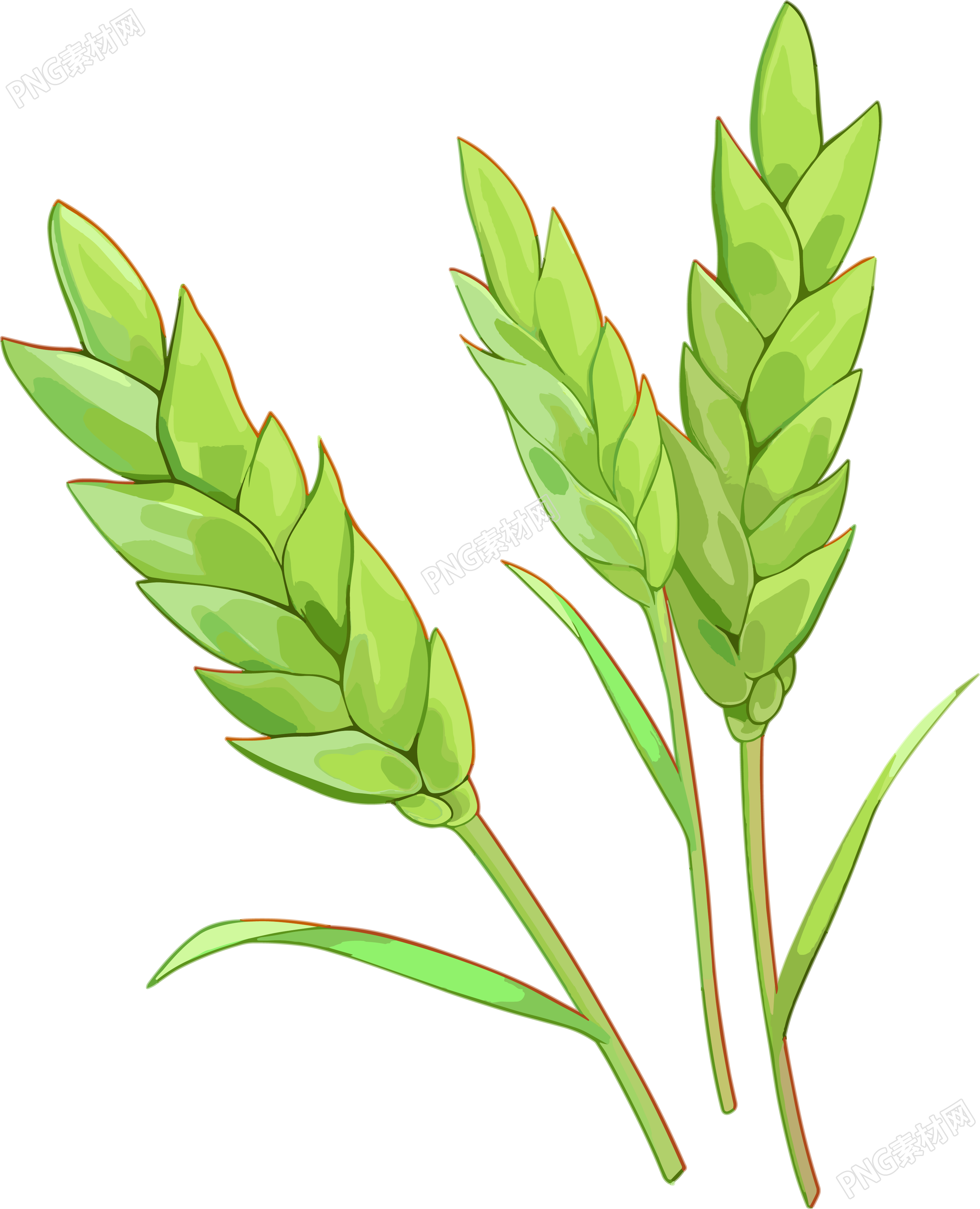 麦穗商业用途图形素材