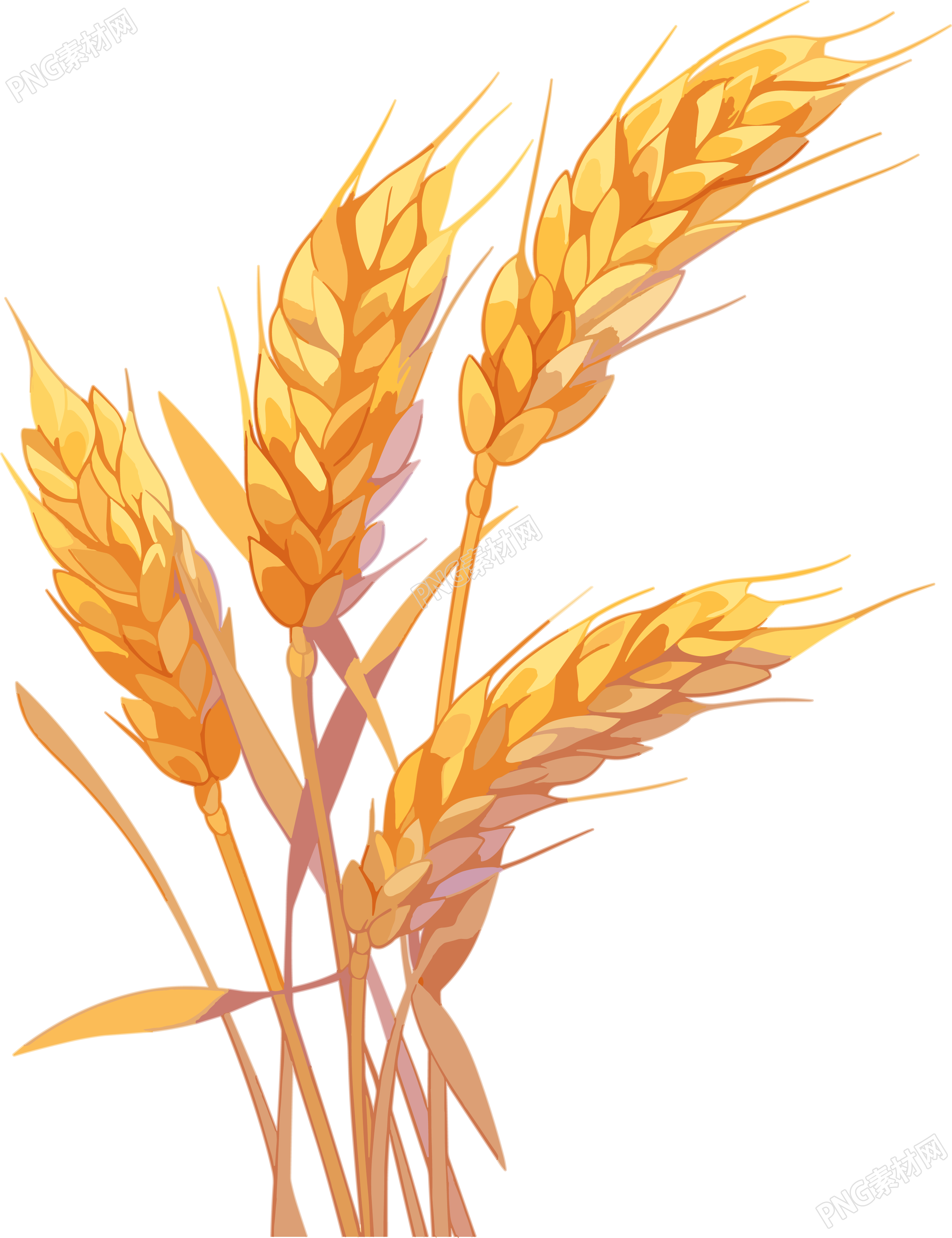 麦穗商业创意插图