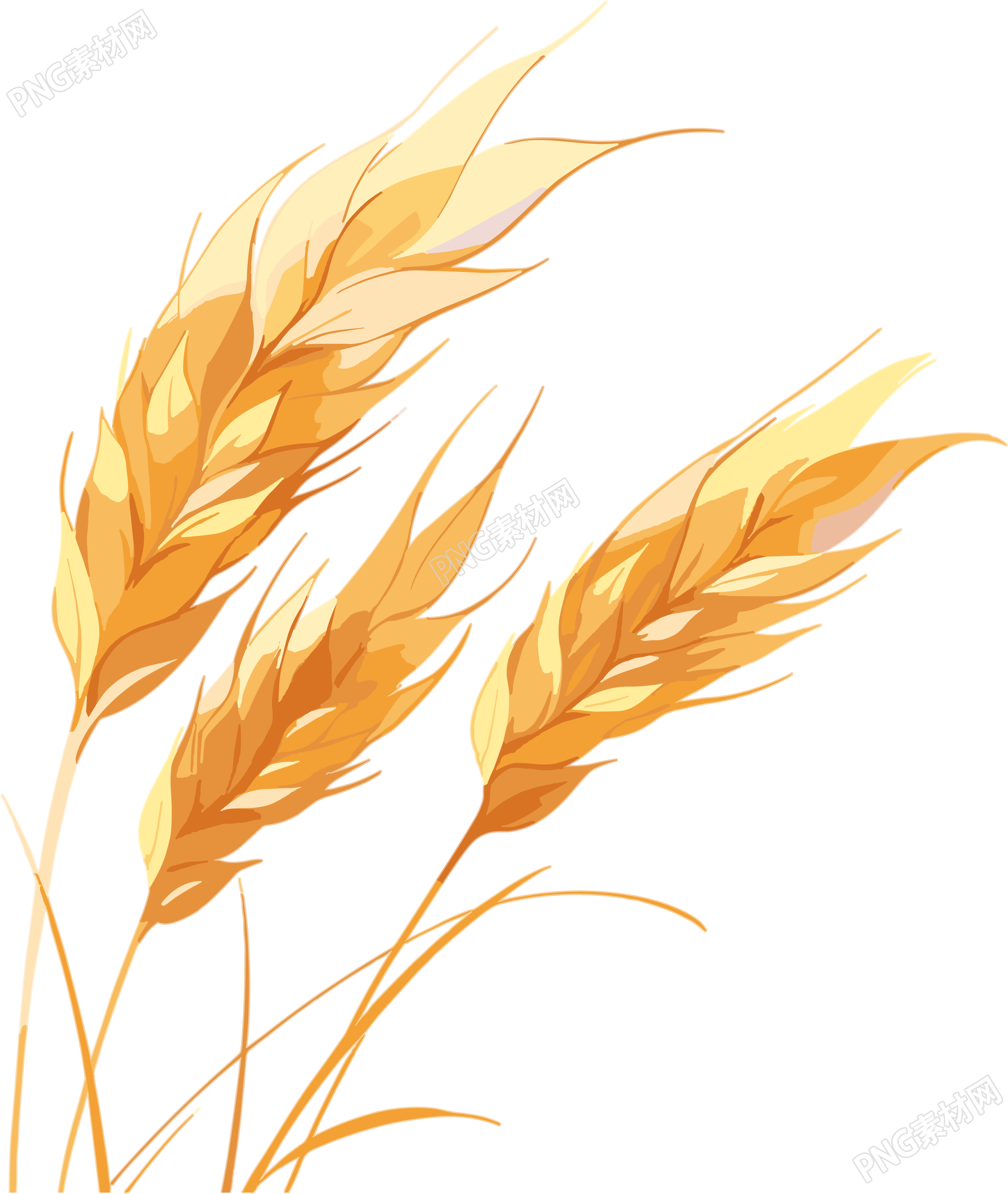 麦穗设计插画