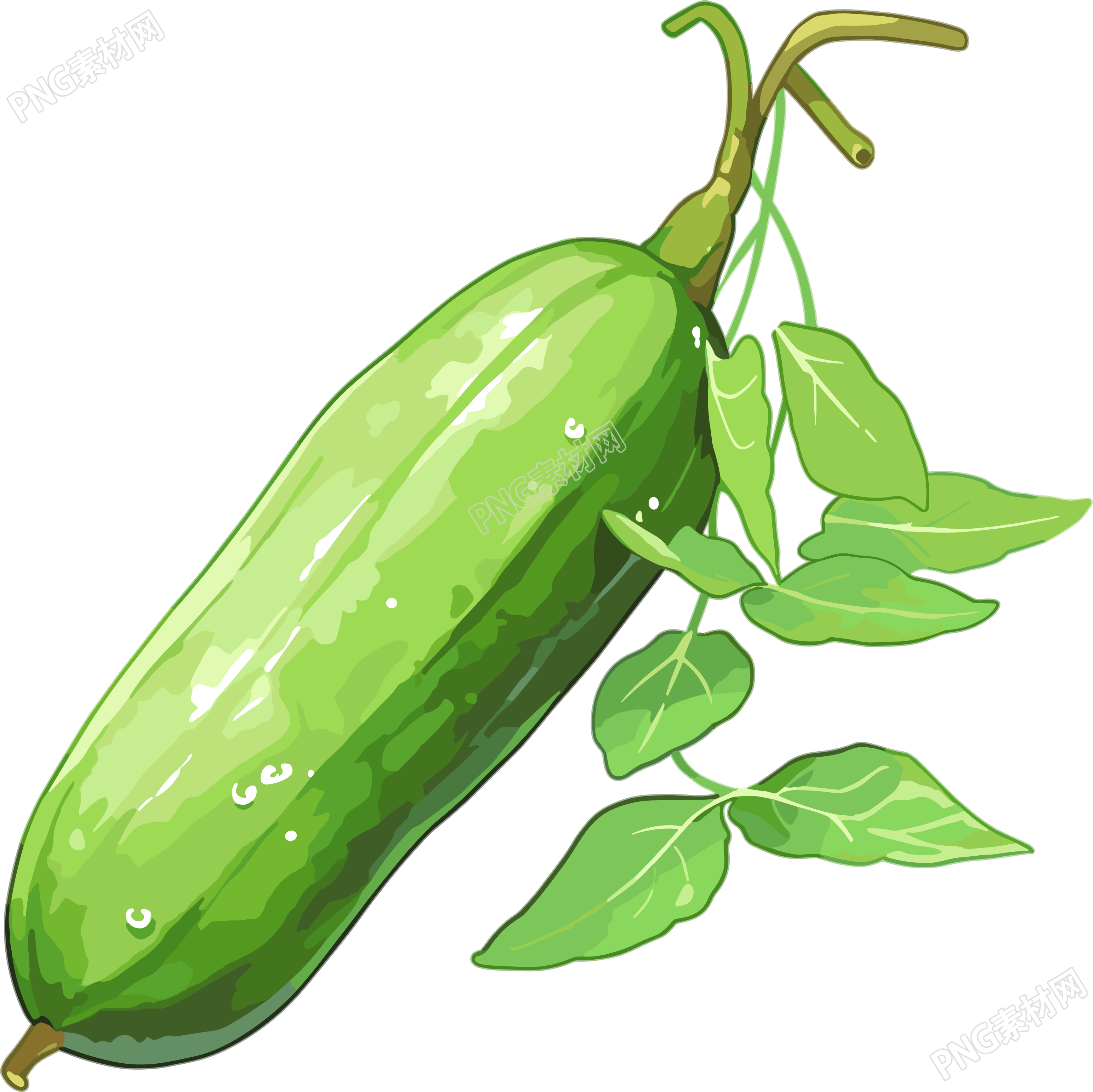 黄瓜商用素材