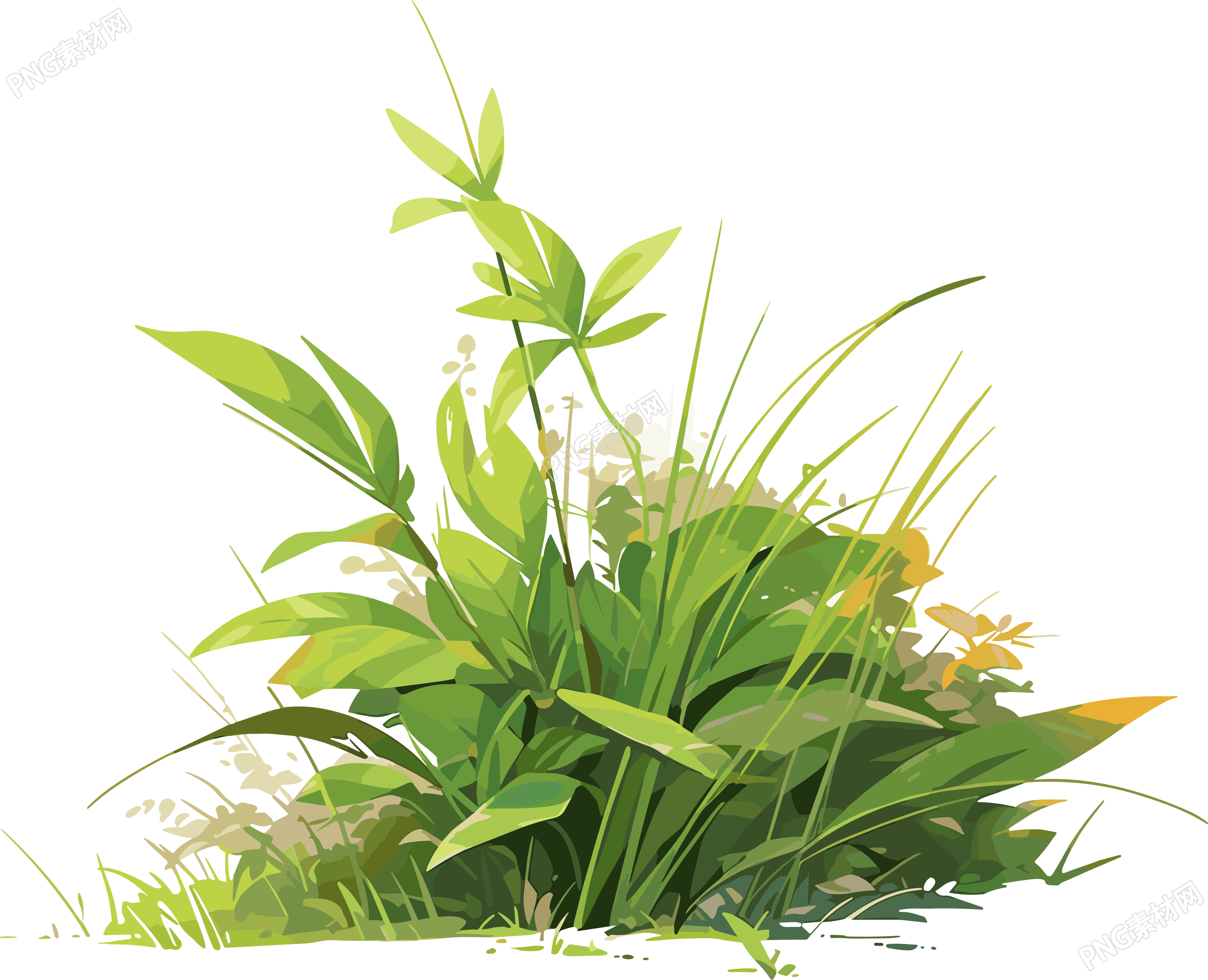 小草卡通插图