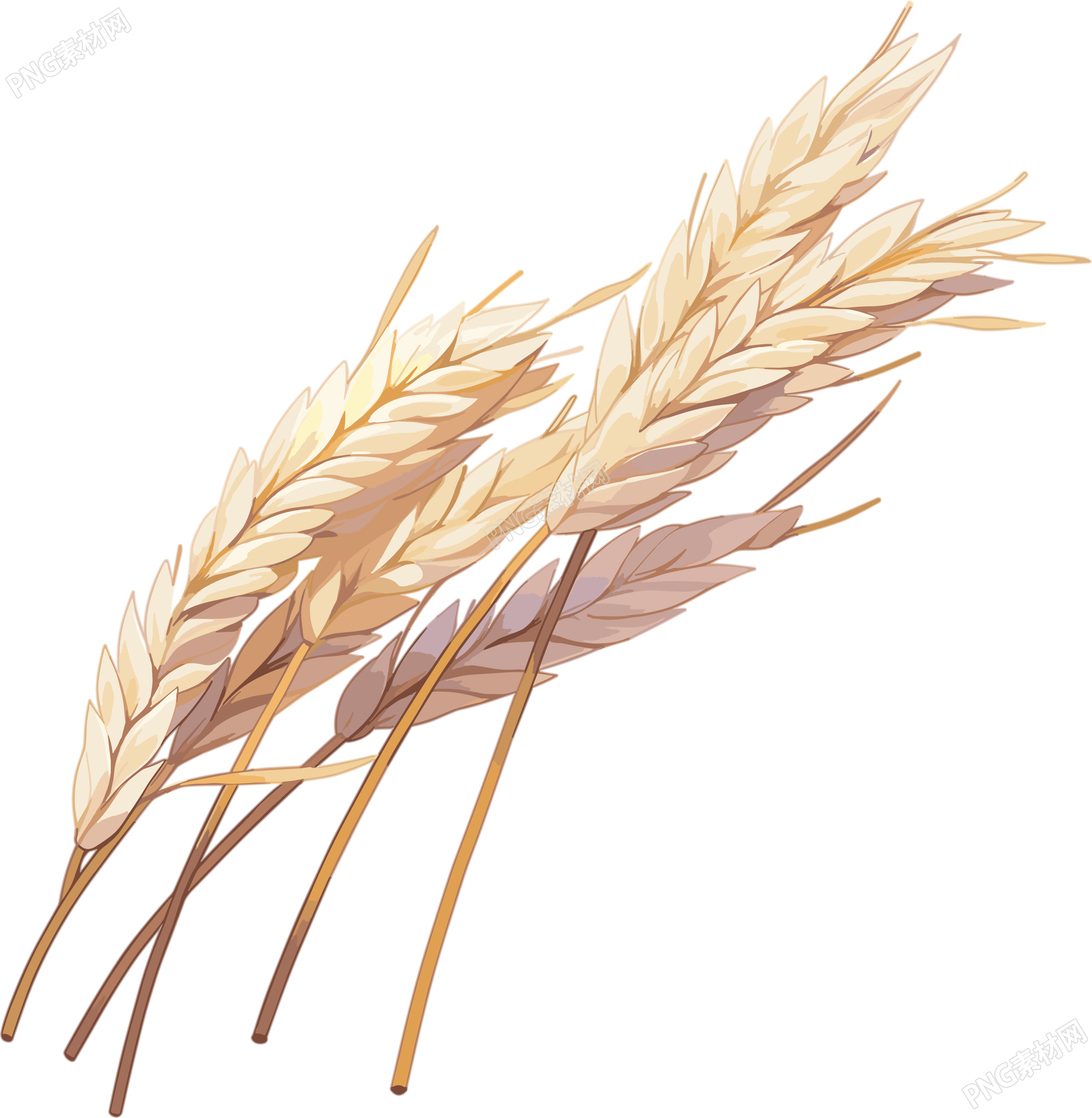 稻子透明背景素材