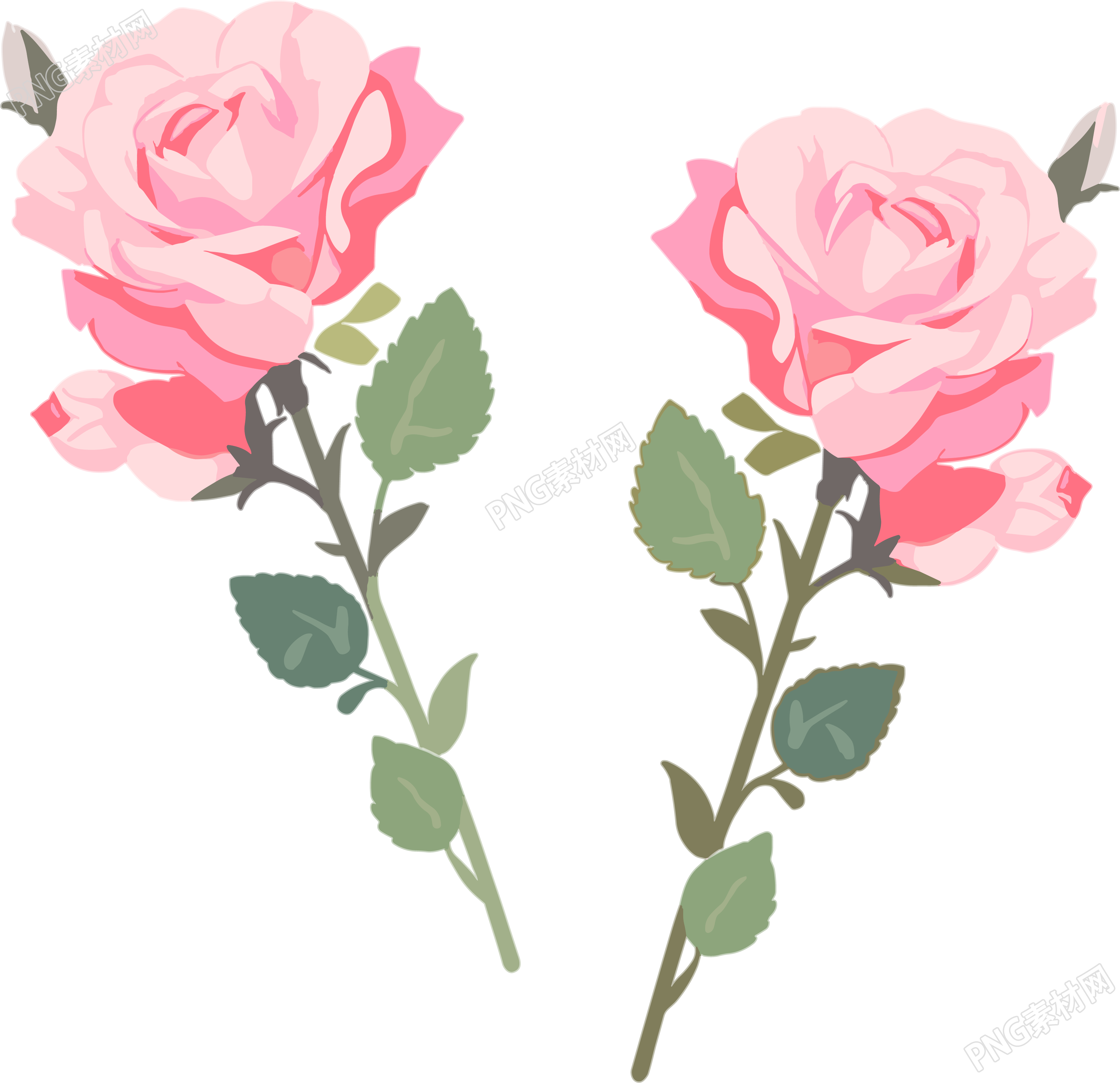 花朵高清质量素材