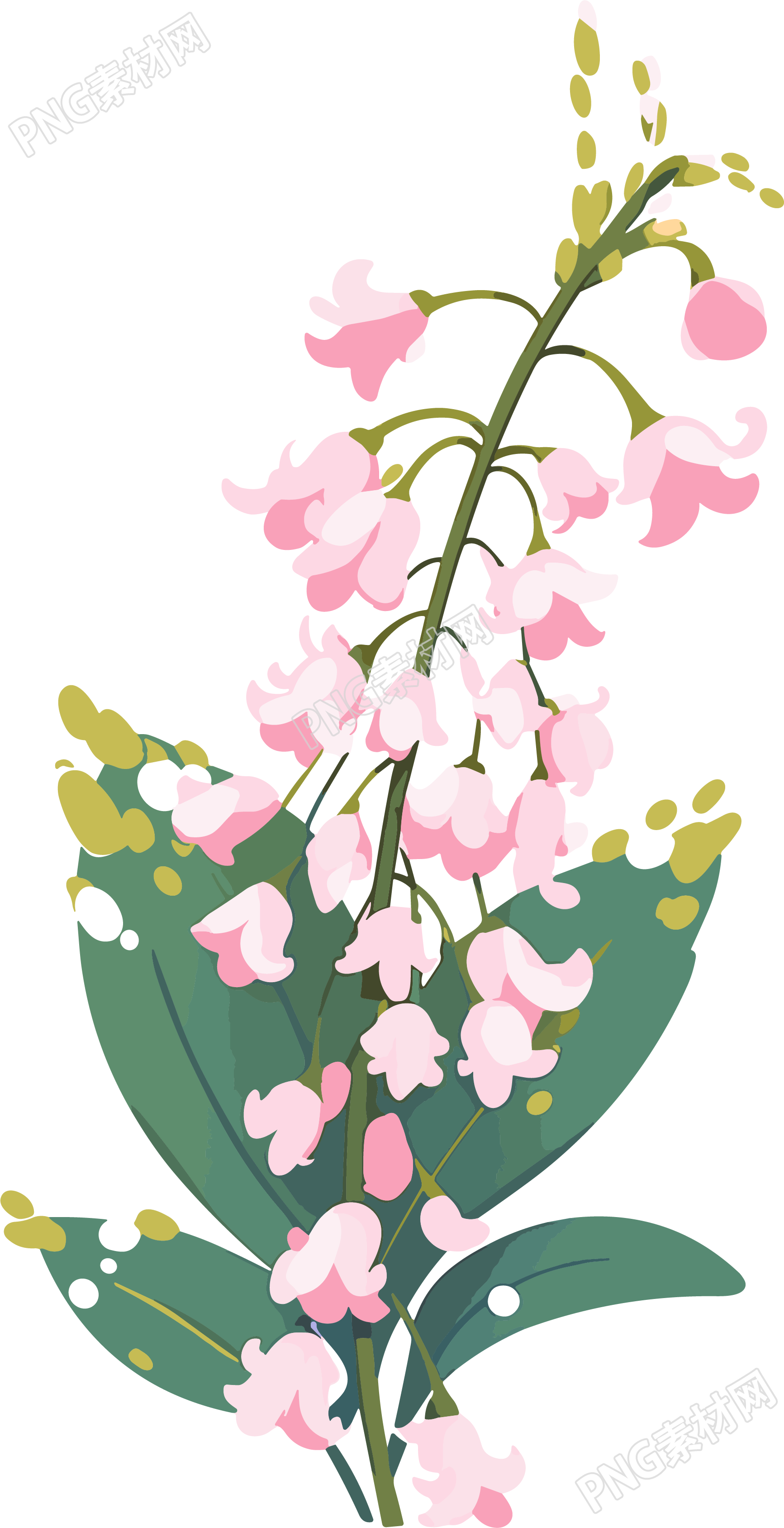 花朵创意插画设计