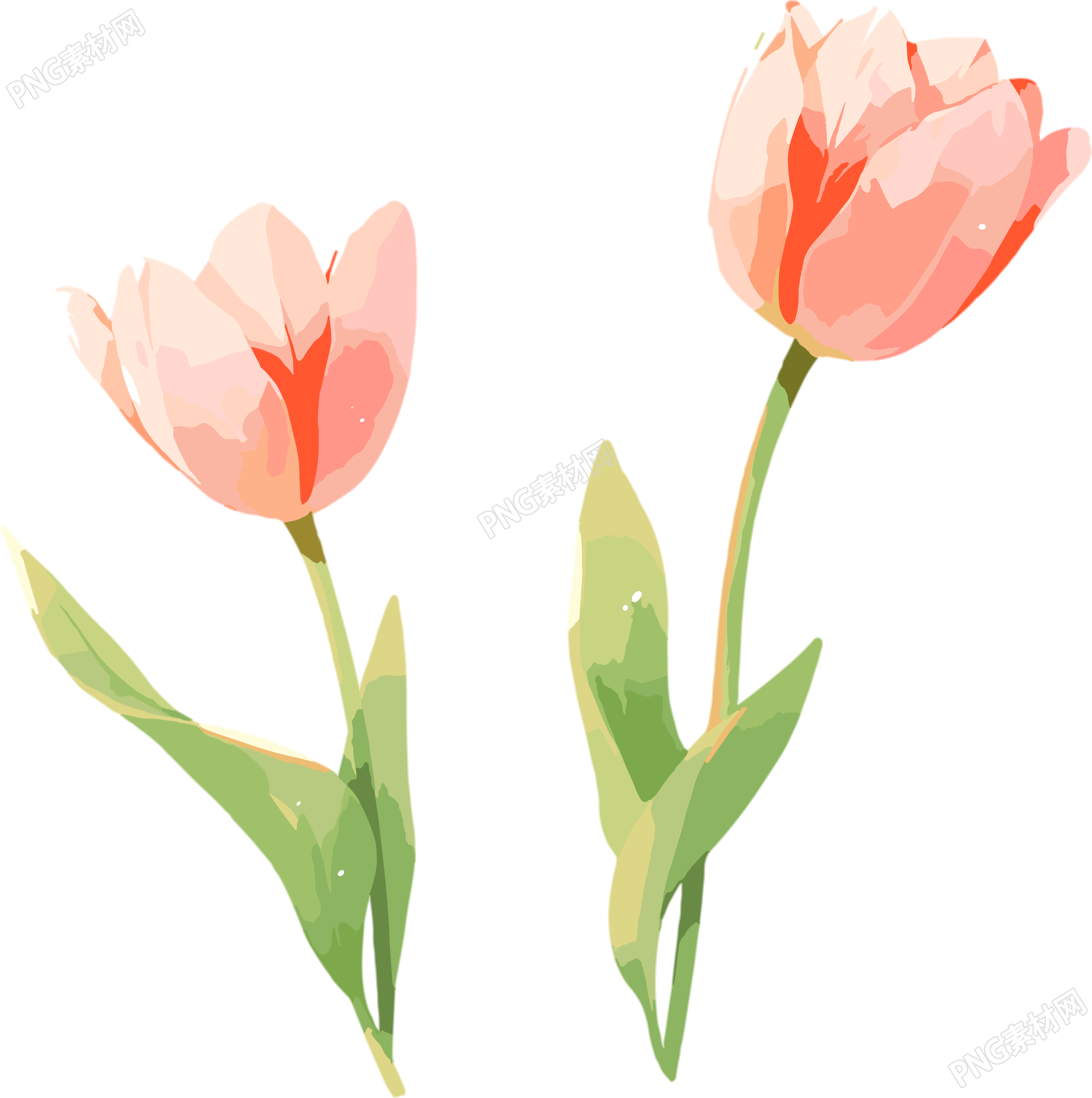 花朵插画设计素材