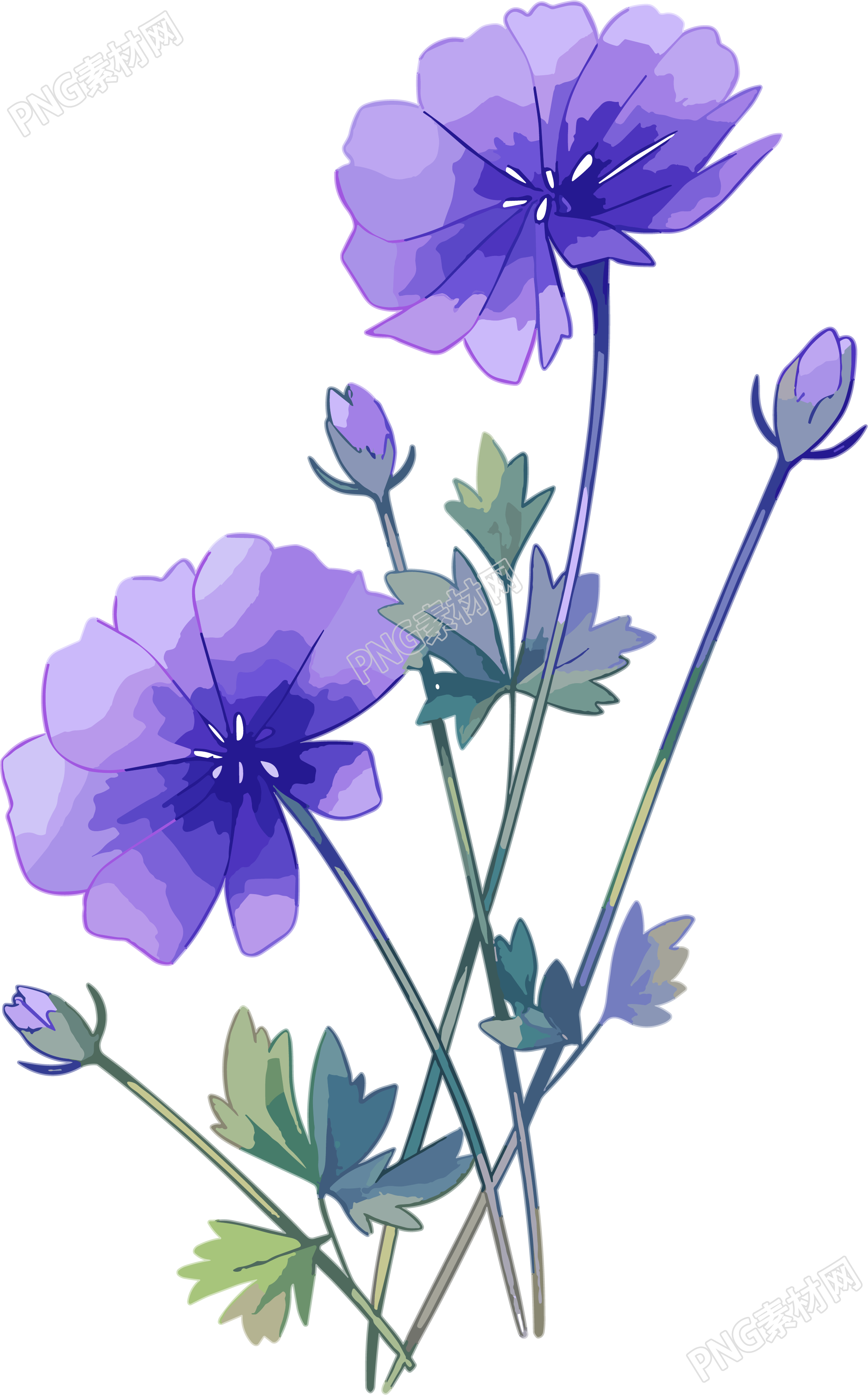 花朵PNG商用素材