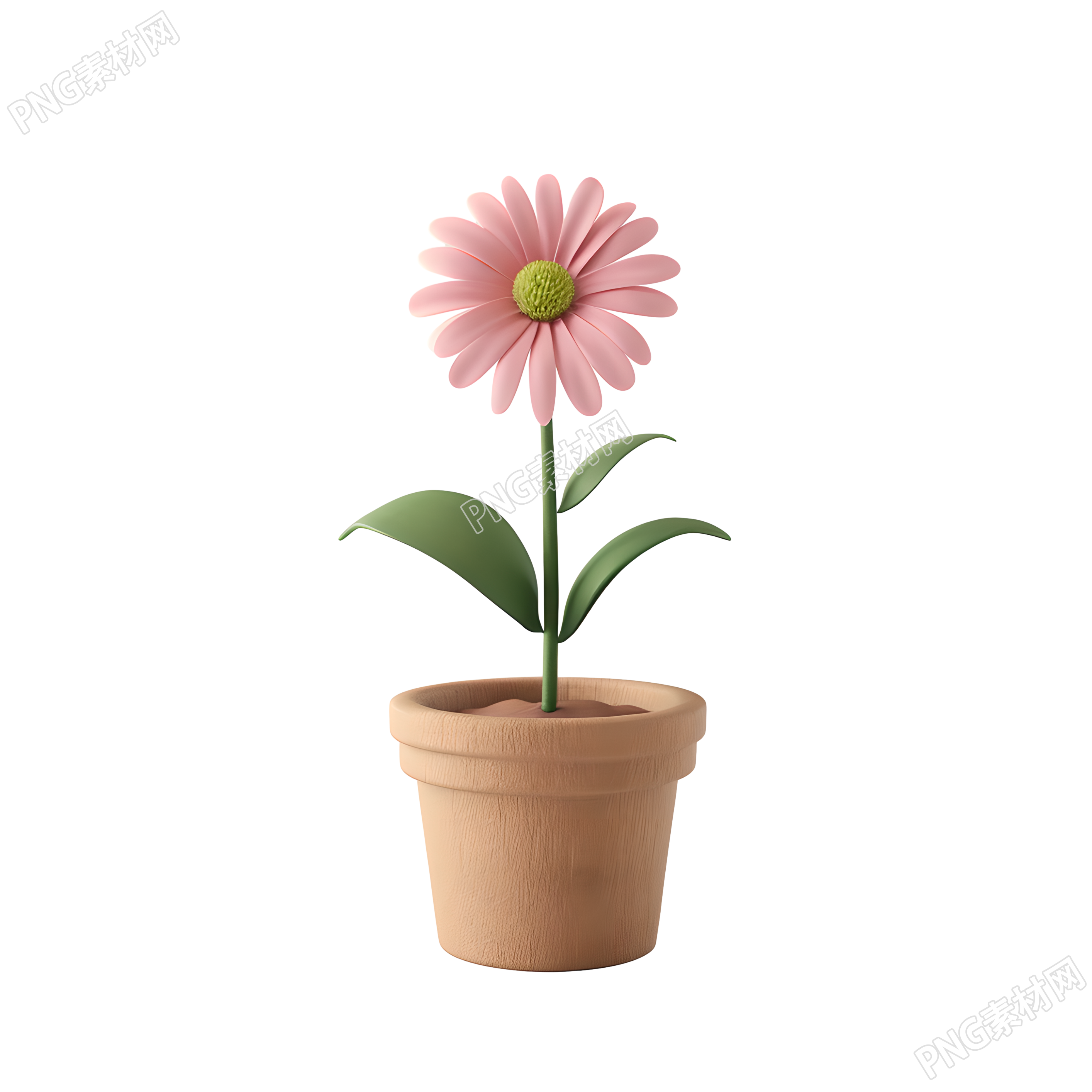 3D花卉商业插画设计