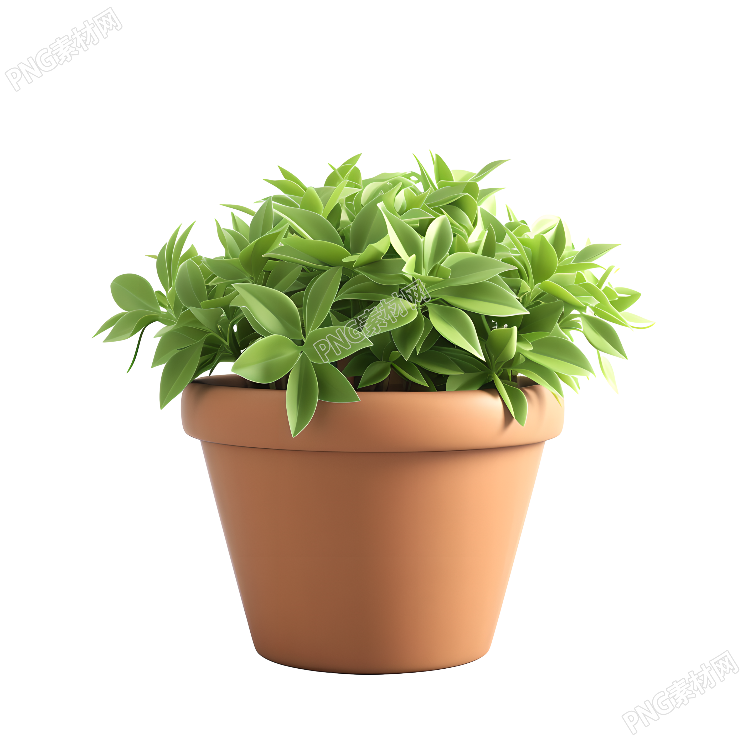 3D植物图形素材