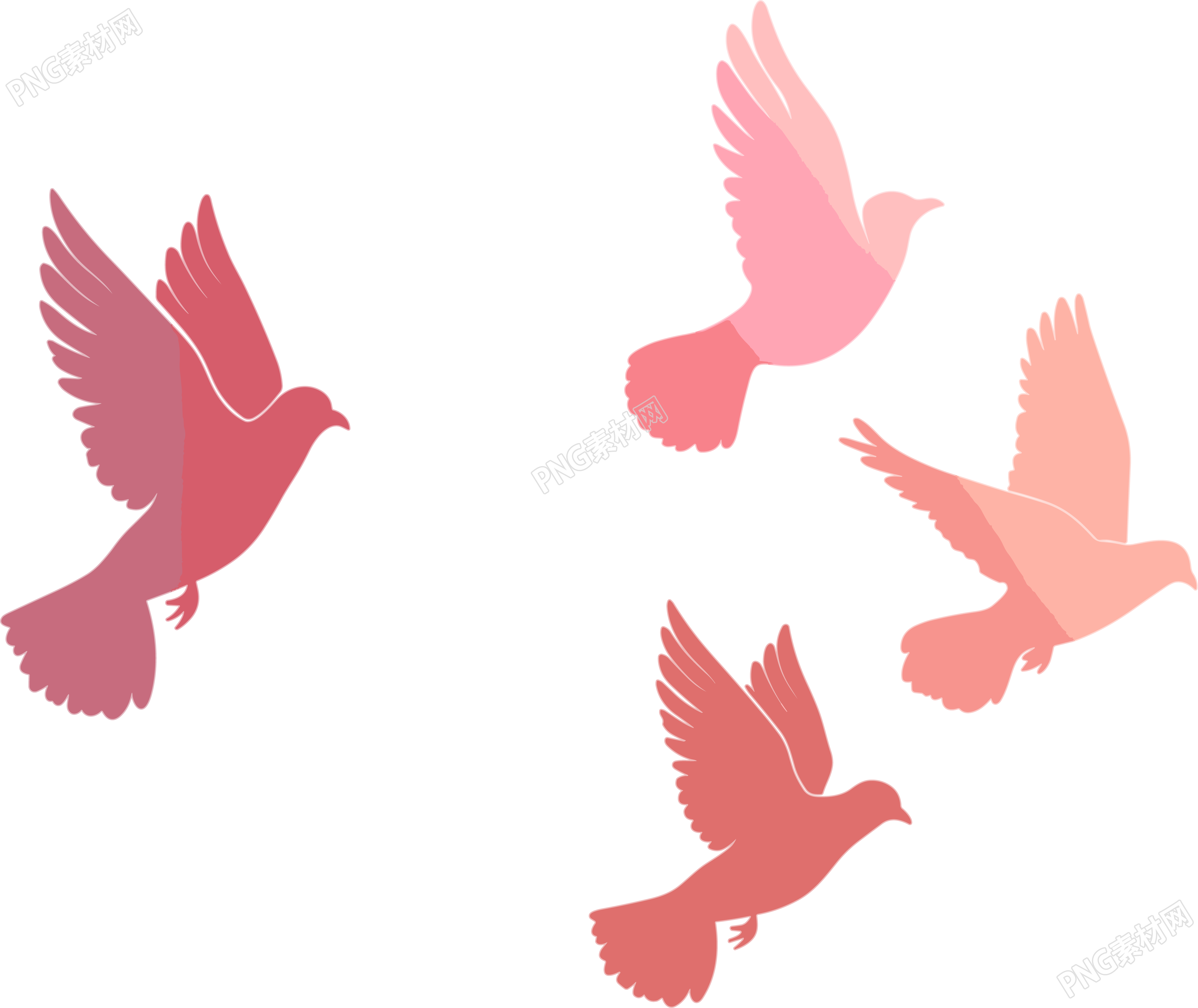 红色和平鸽插图