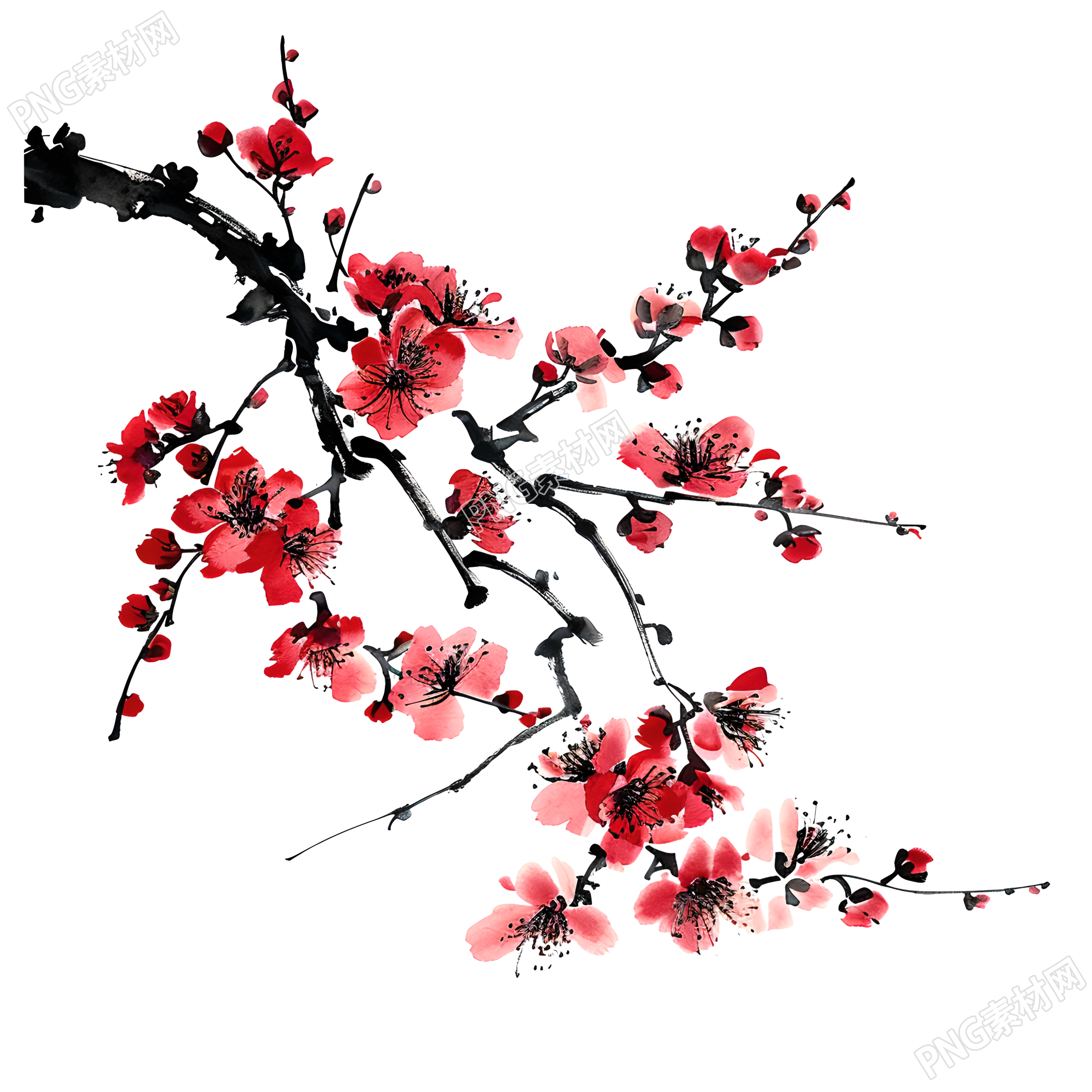 中国风梅花商用素材