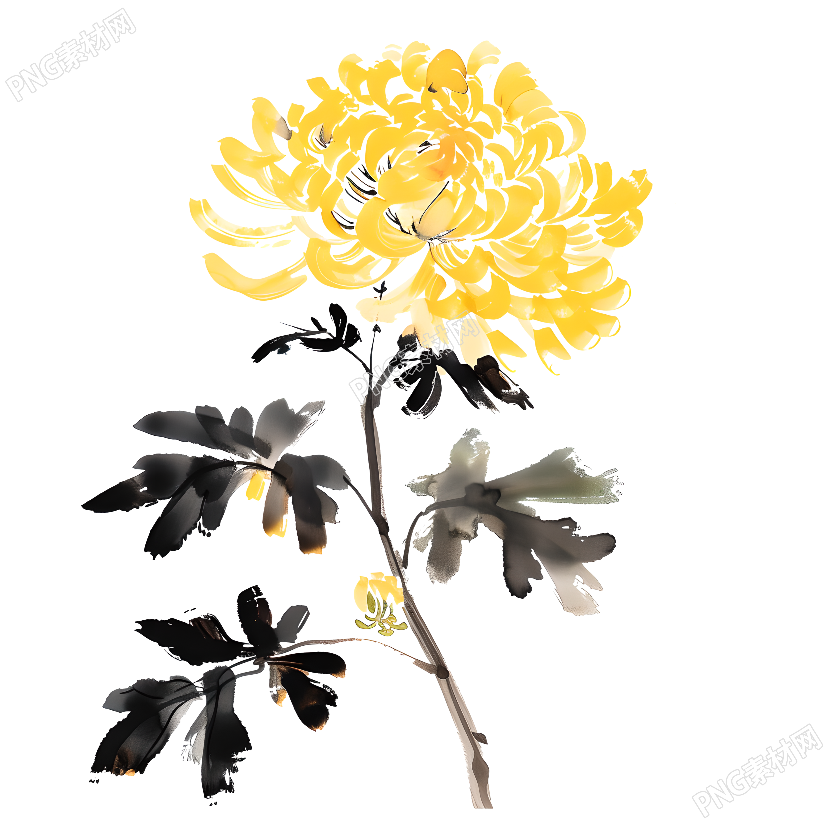 國風(fēng)菊花透明背景素材