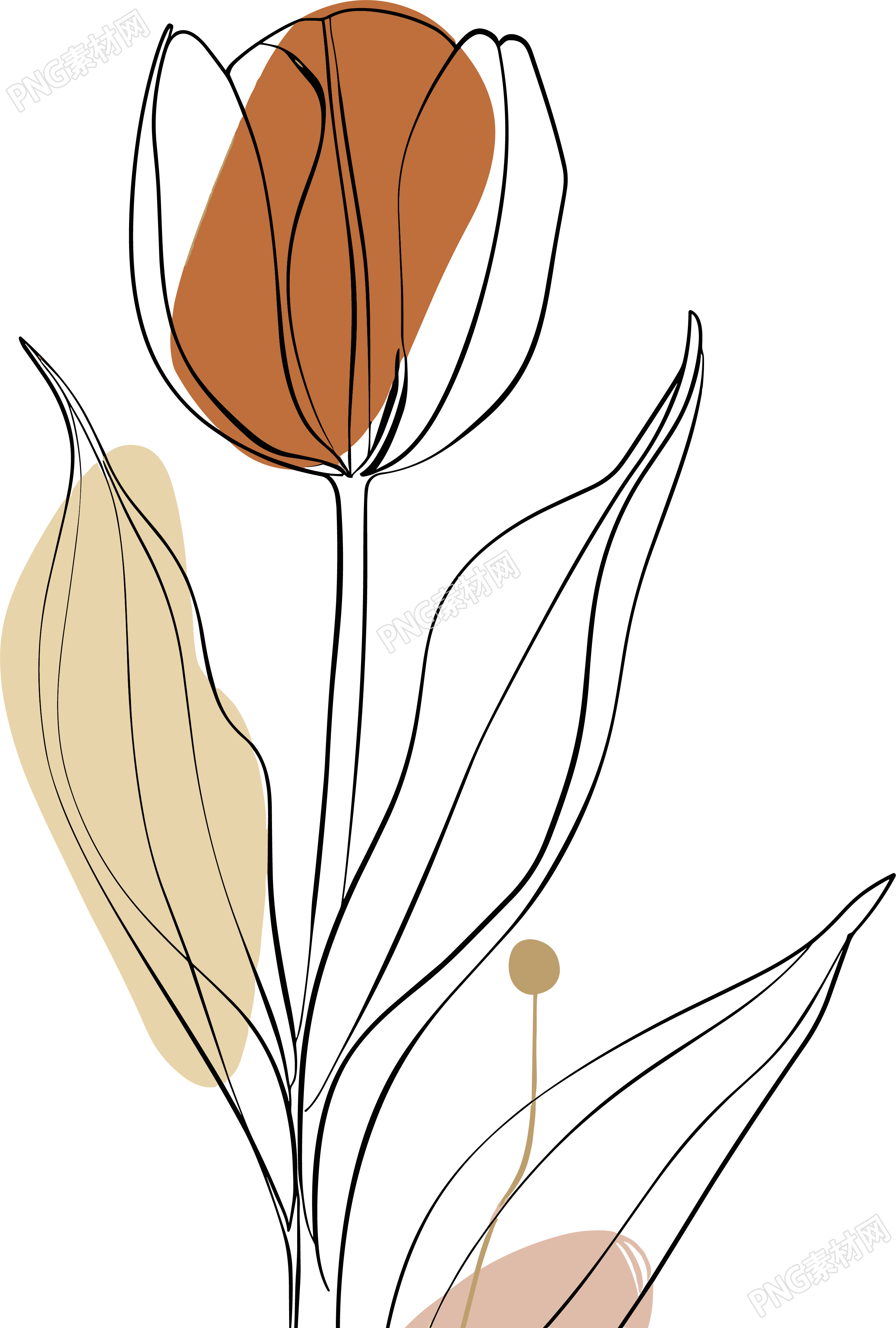 抽象植物插画