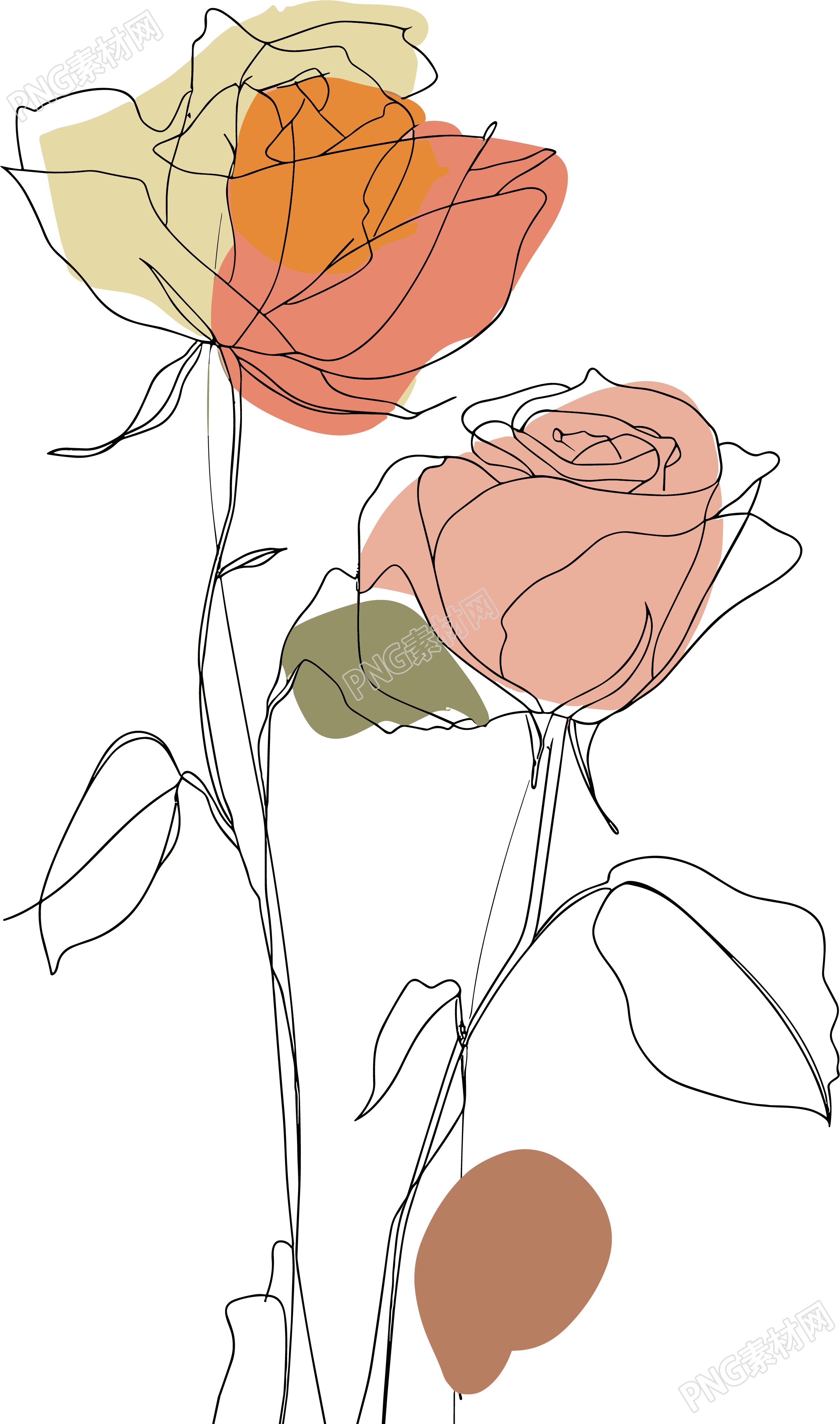 抽象植物PNG插图