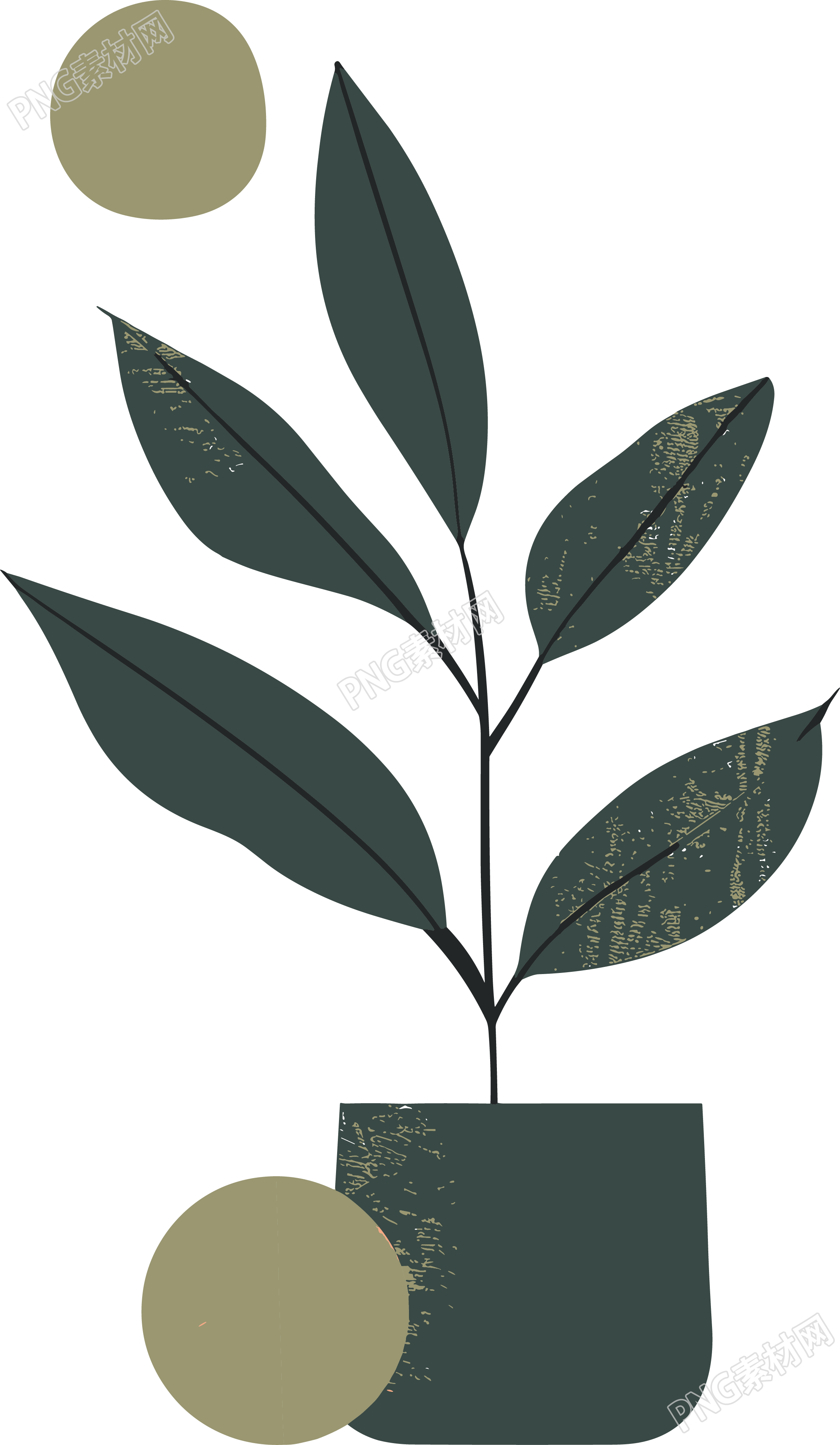 抽象植物高清图形素材