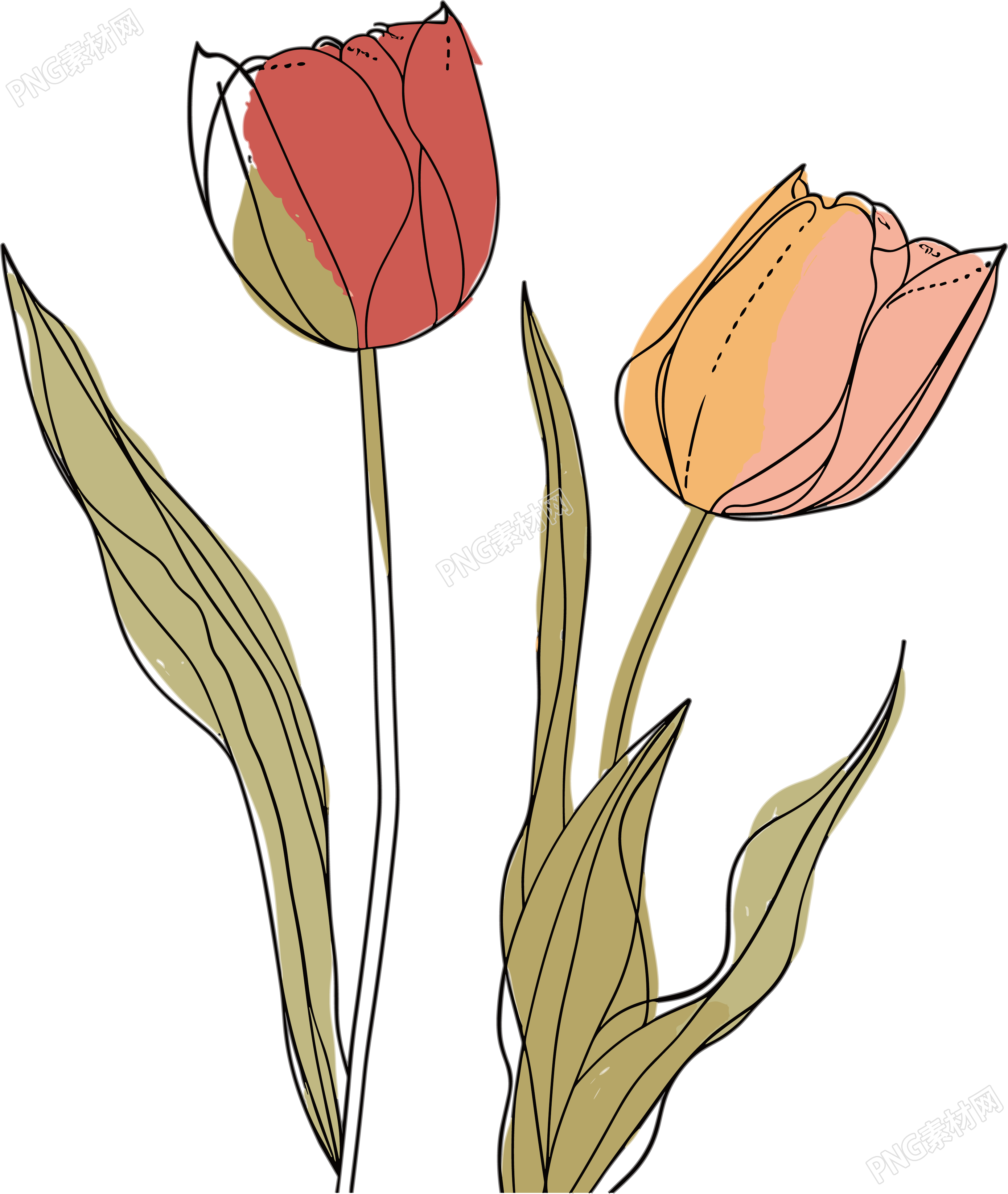 抽象植物插画设计