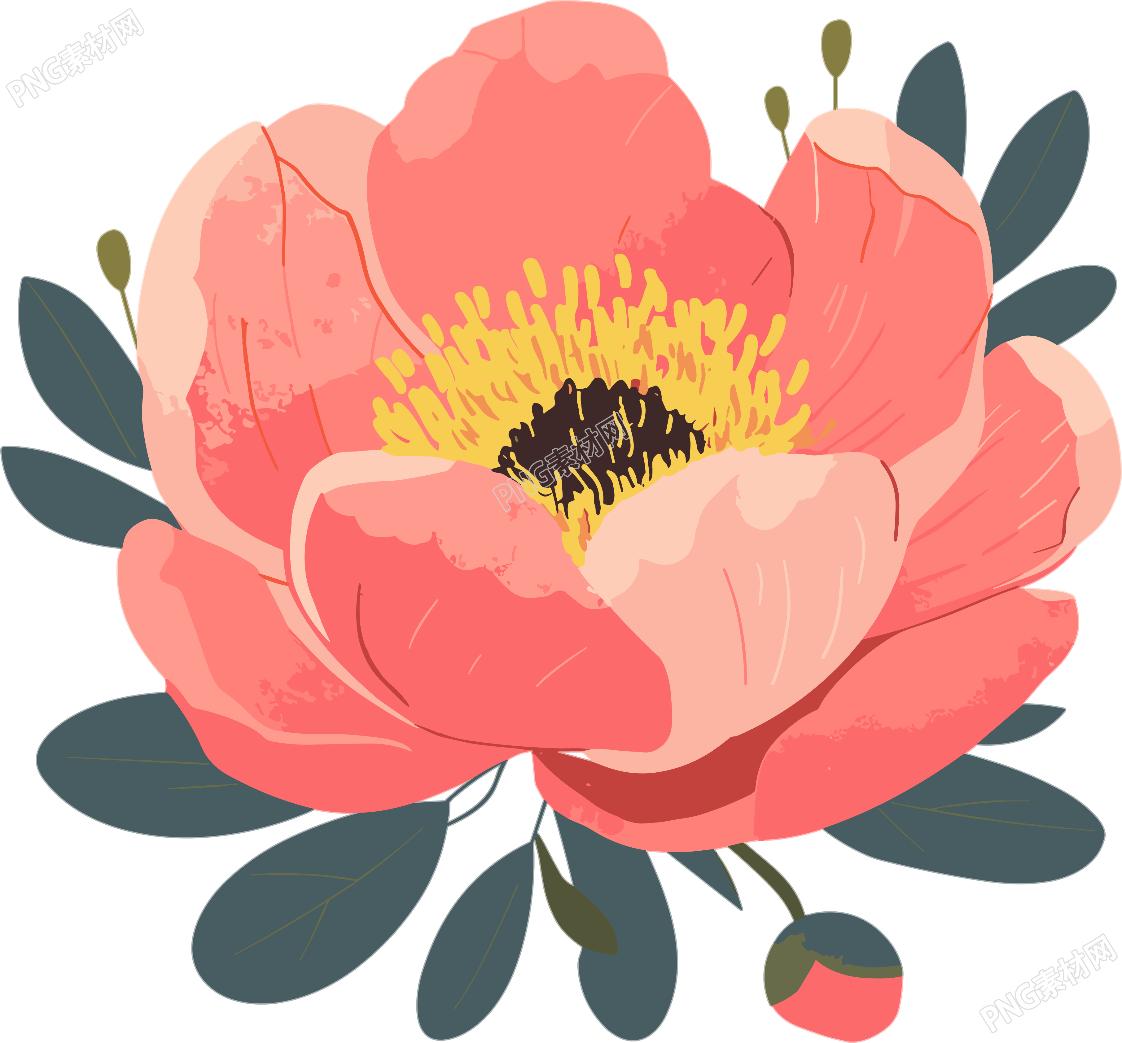 简约花卉精美插画