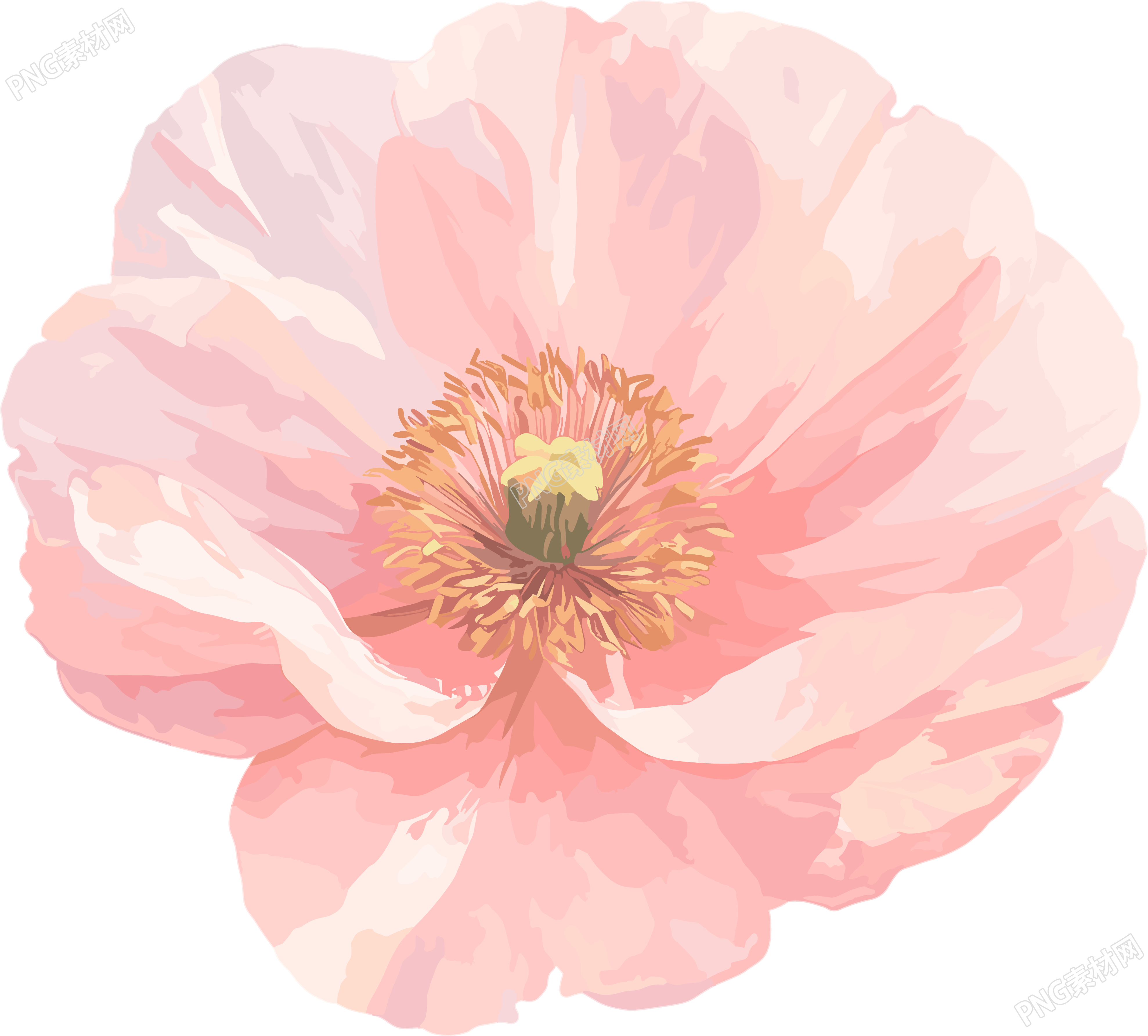 简约花卉唯美插画